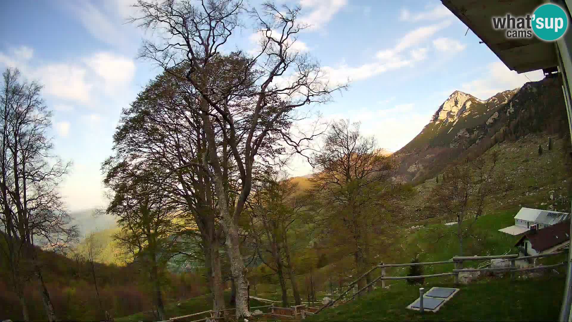 Planina Razor Bergütte Webcam (1315) | Blick auf Tolminski Migovec