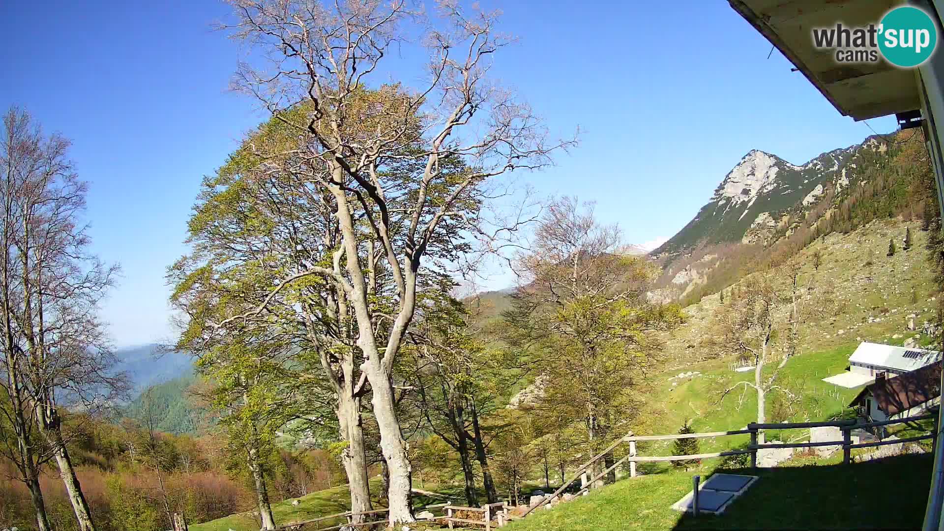 Planina Razor Bergütte Webcam (1315) | Blick auf Tolminski Migovec