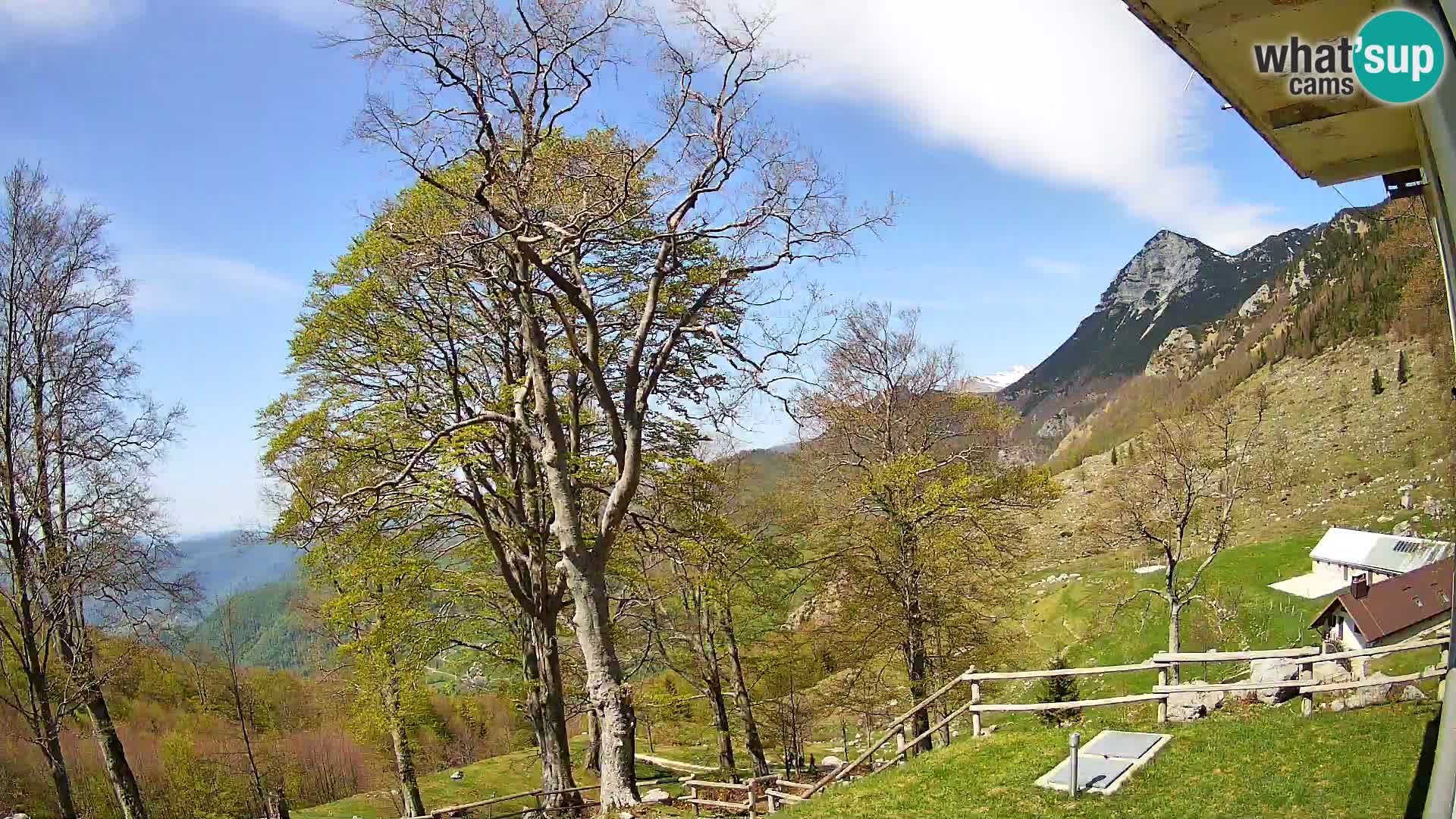 Planina Razor Bergütte Webcam (1315) | Blick auf Tolminski Migovec