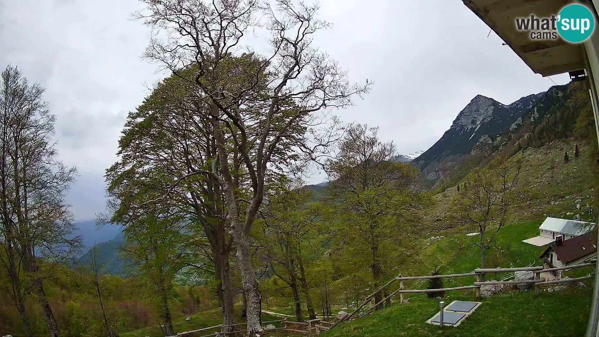 Planina Razor Mountain Hut live cam (1315) | view to Tolminski Migovec