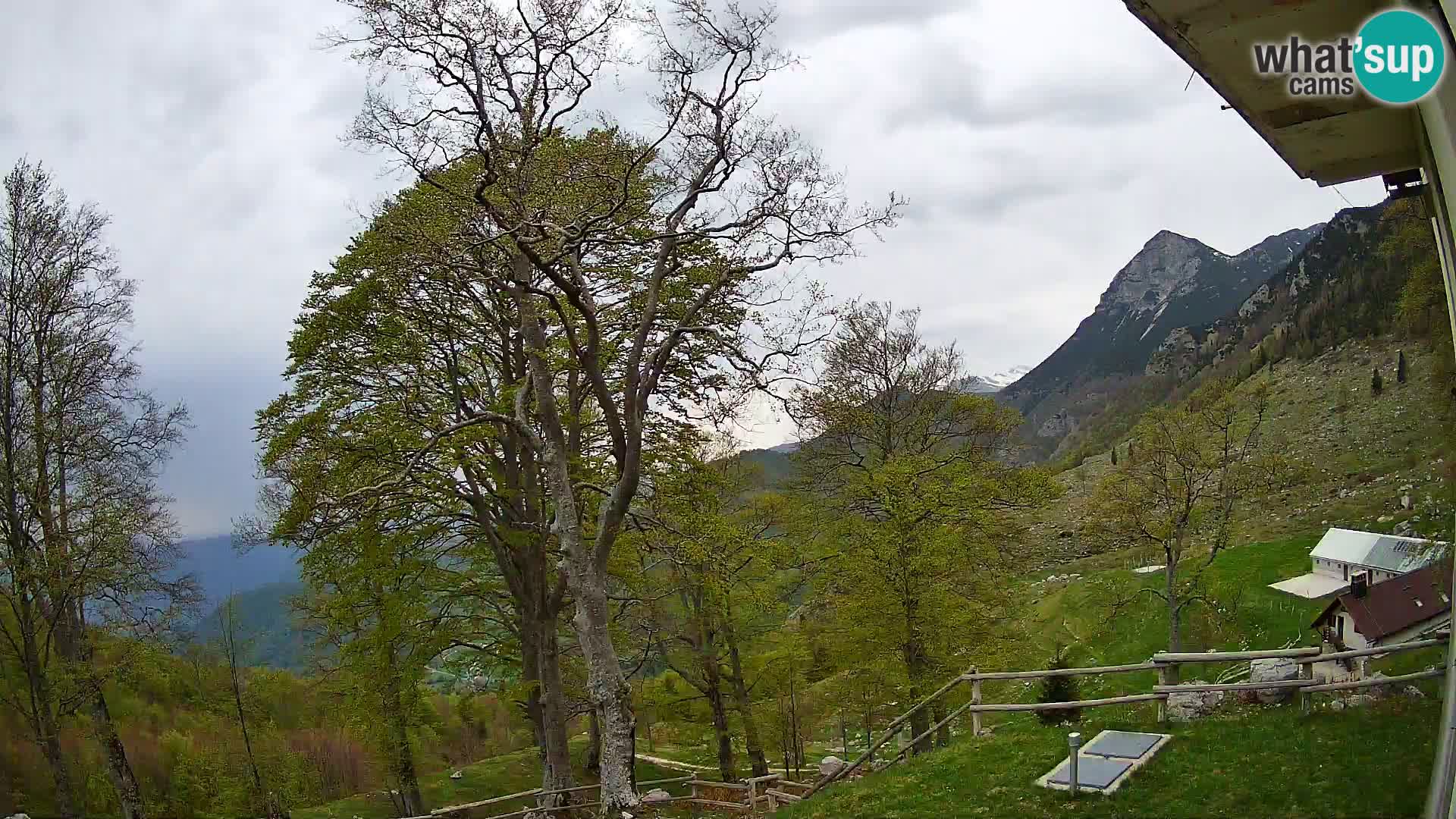 Planina Razor Mountain Hut live cam (1315) | view to Tolminski Migovec