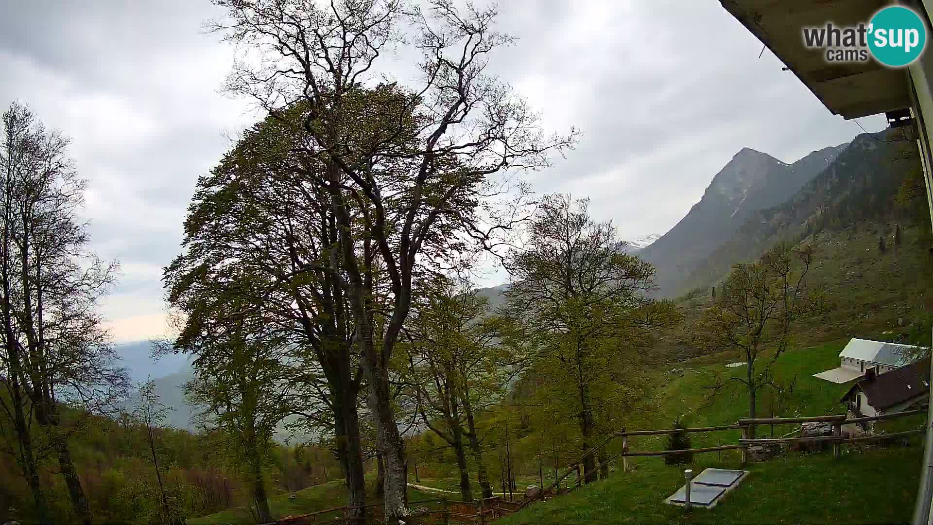 Baita di montagna Planina Razor webcam (1315) | vista su Tolminski Migovec