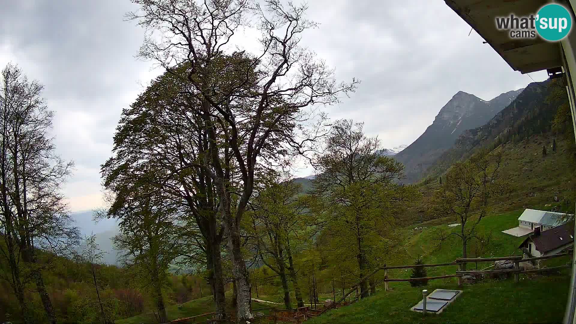 Baita di montagna Planina Razor webcam (1315) | vista su Tolminski Migovec