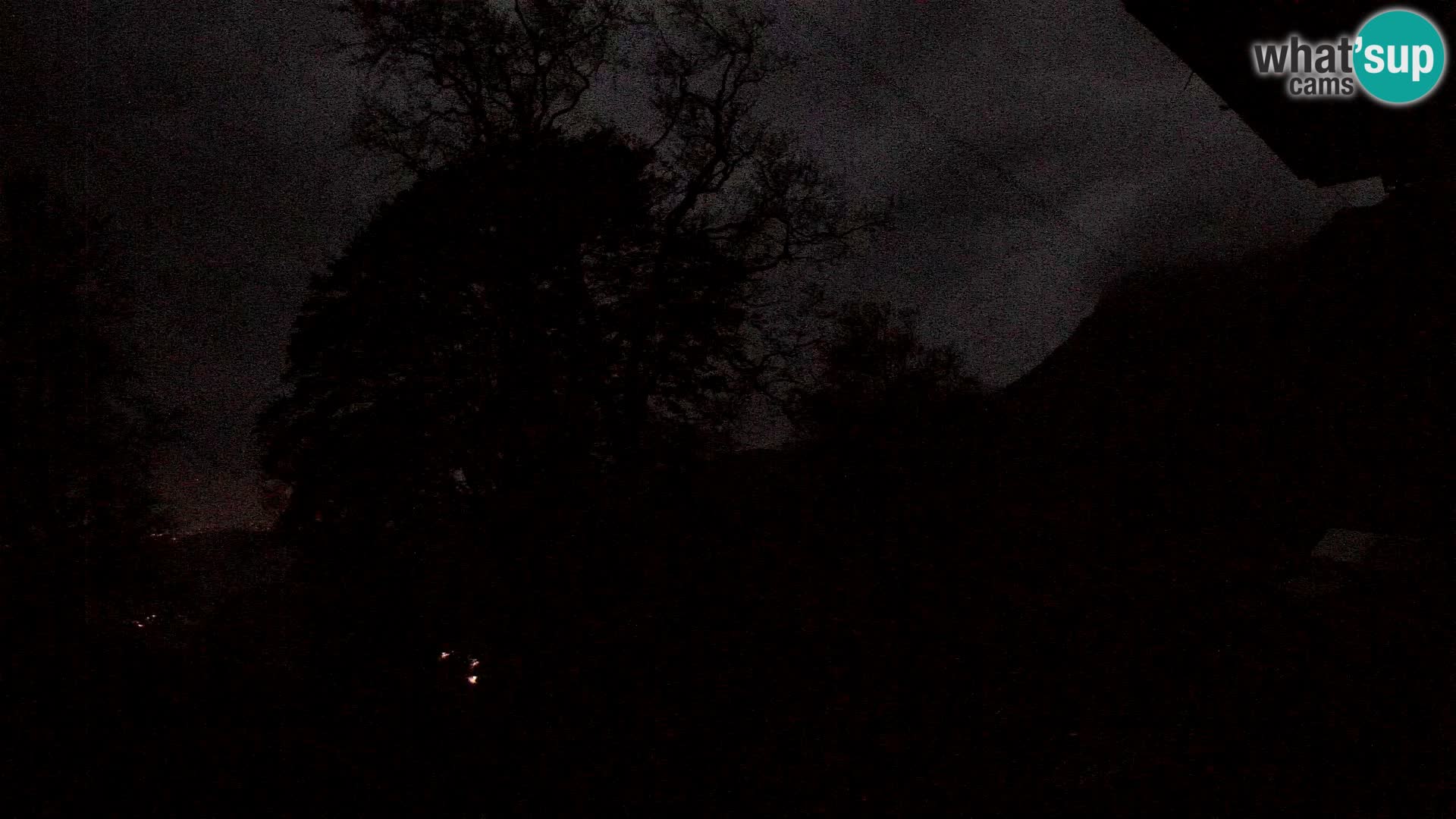 Cámara en vivo de la cabaña de montaña Planina Razor (1315) | vista hacia Tolminski Migovec