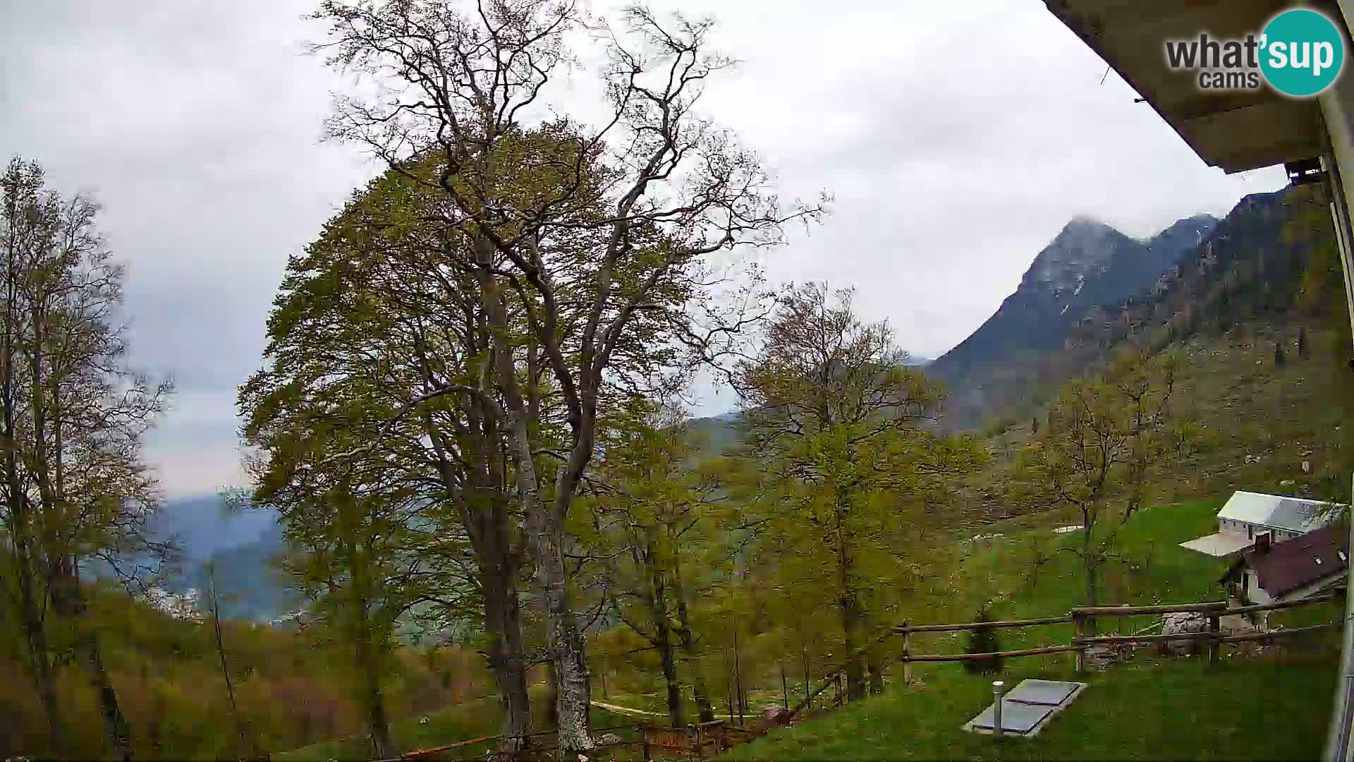 Baita di montagna Planina Razor webcam (1315) | vista su Tolminski Migovec