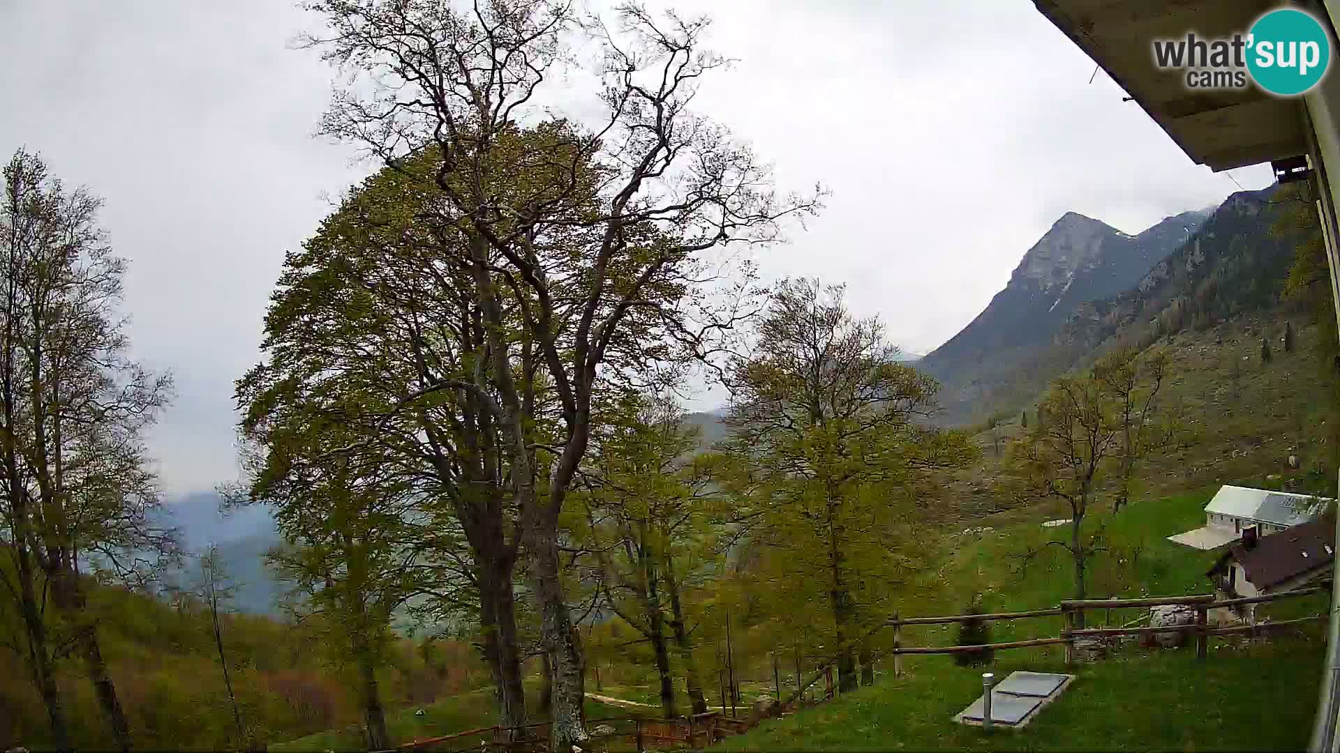 Cámara en vivo de la cabaña de montaña Planina Razor (1315) | vista hacia Tolminski Migovec