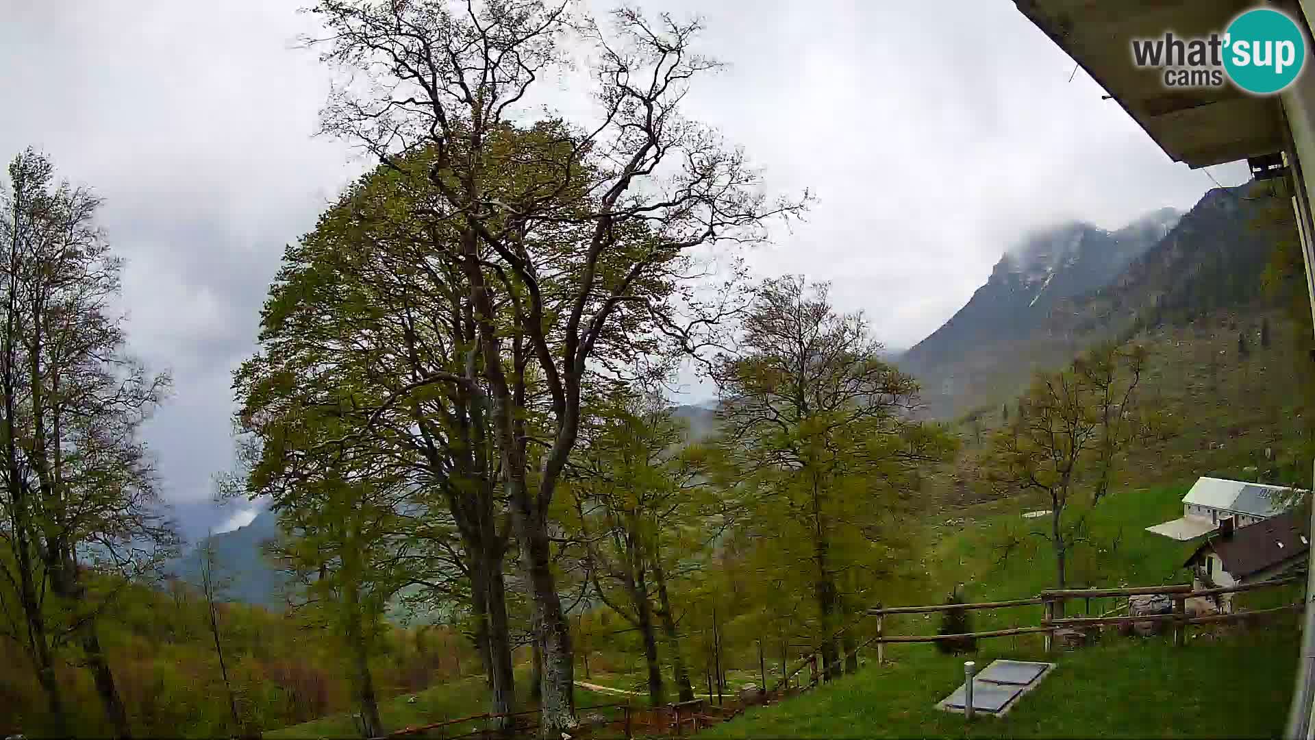 Planina Razor Bergütte Webcam (1315) | Blick auf Tolminski Migovec