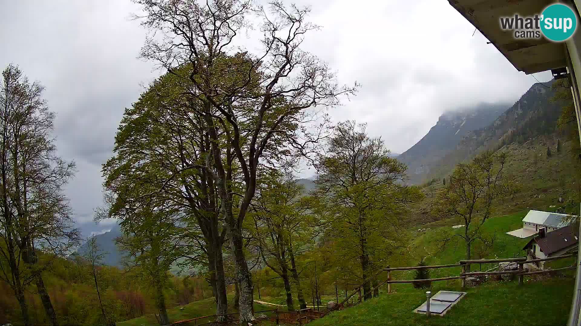 Koča na Planini Razor spletna kamera (1315) | Pogled na Tolminski Migovec