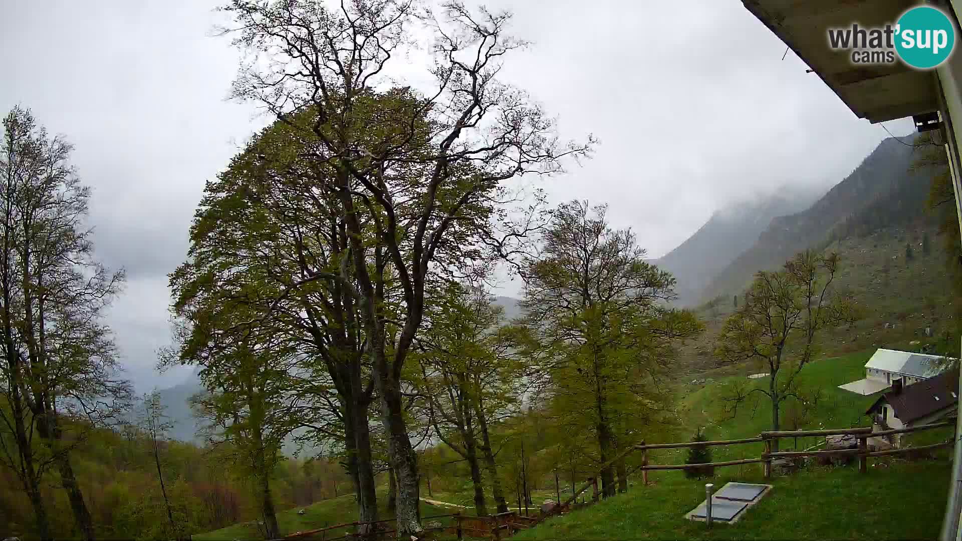 Planina Razor Mountain Hut live cam (1315) | view to Tolminski Migovec