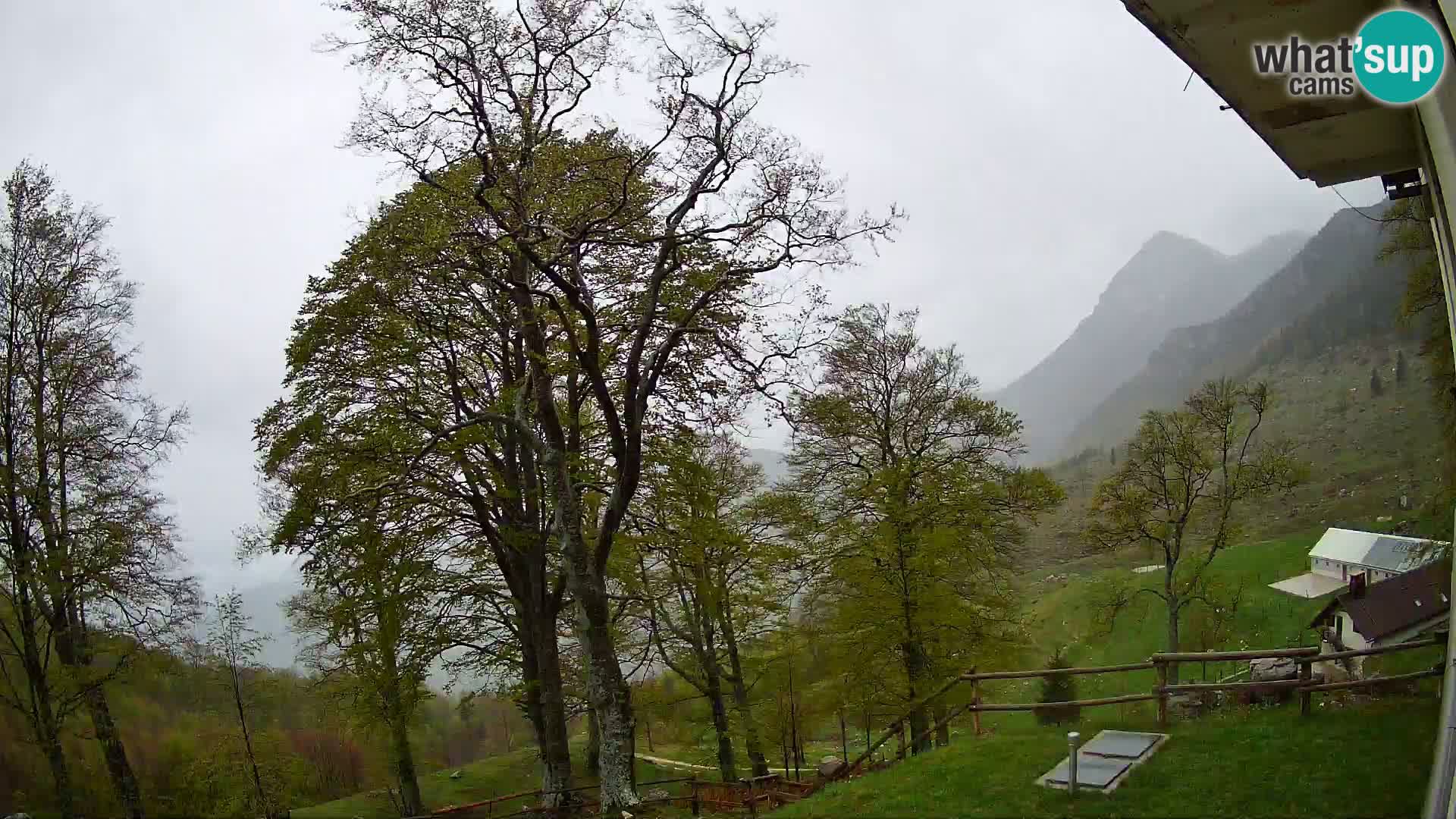 Planina Razor Bergütte Webcam (1315) | Blick auf Tolminski Migovec
