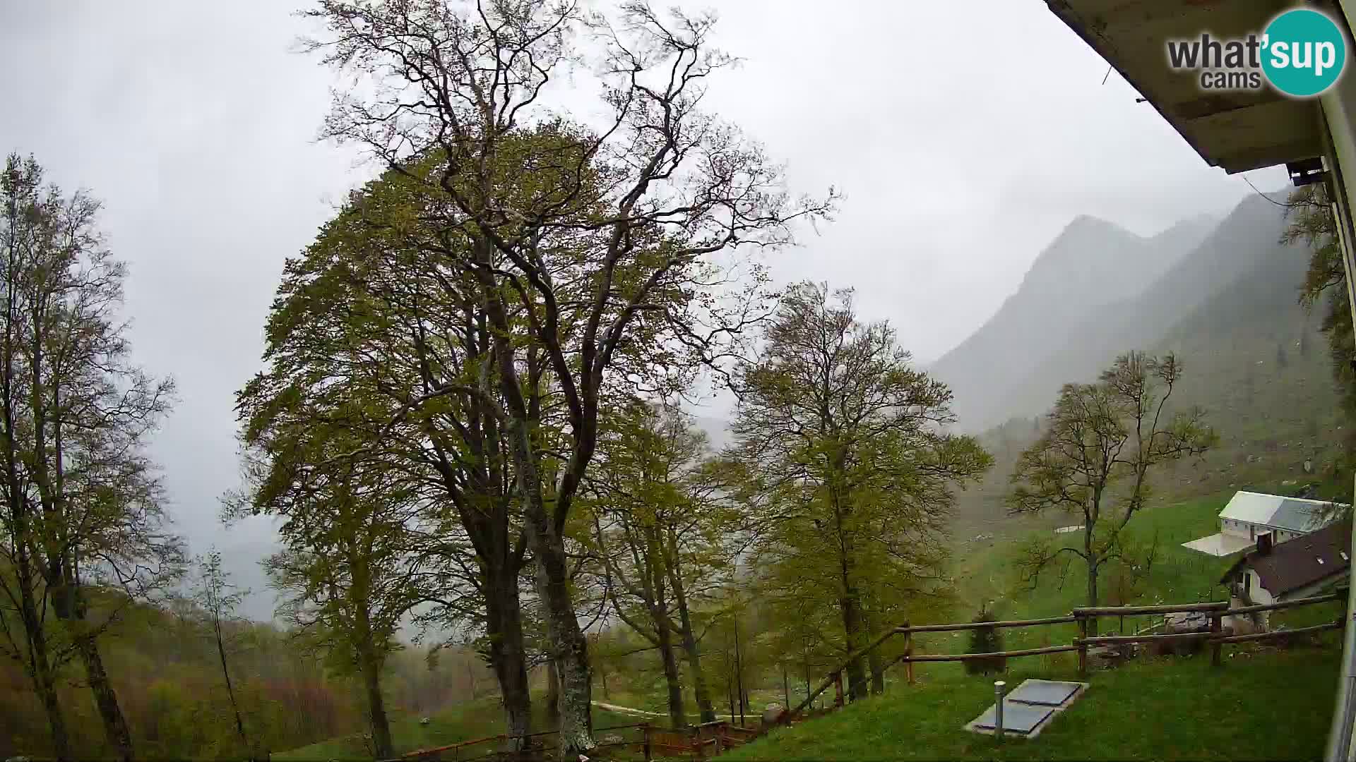 Baita di montagna Planina Razor webcam (1315) | vista su Tolminski Migovec