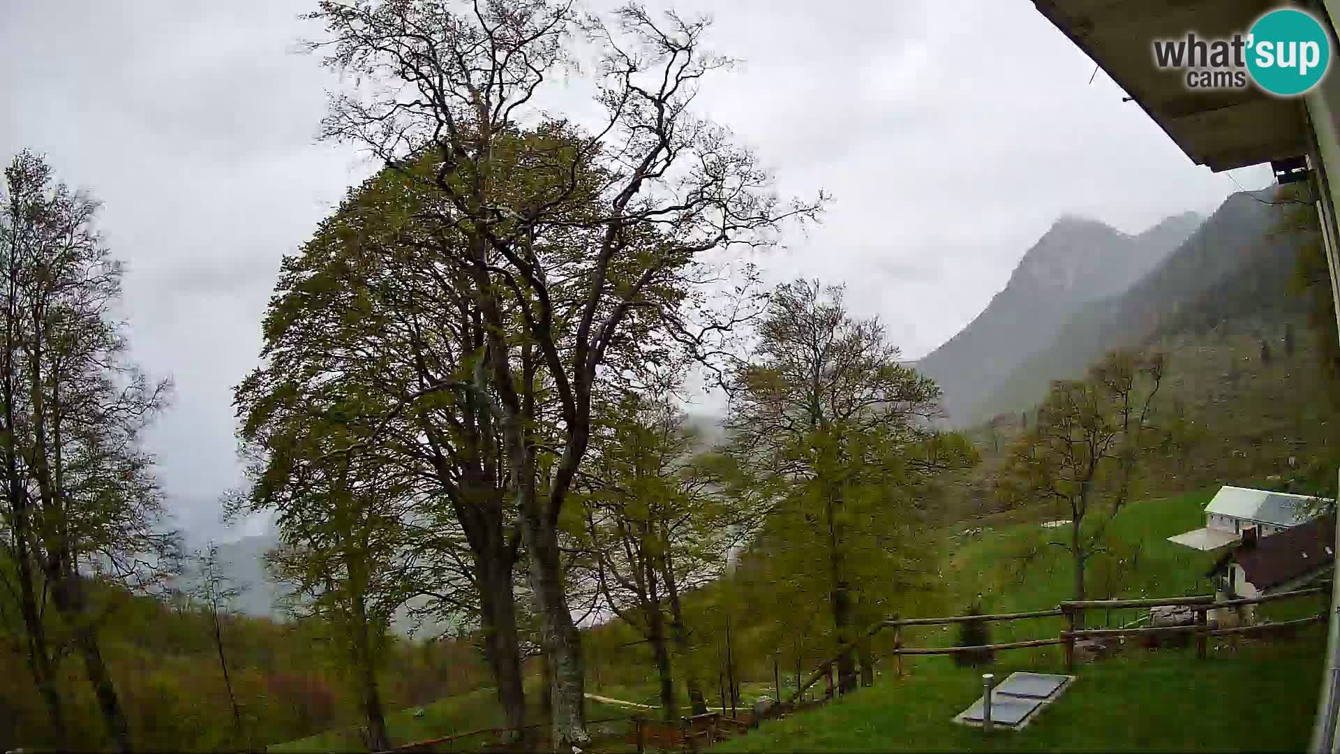 Baita di montagna Planina Razor webcam (1315) | vista su Tolminski Migovec