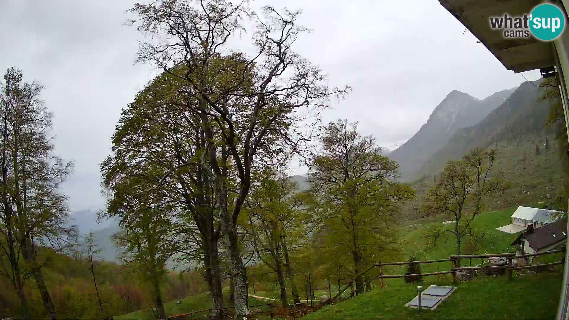 Refuge de la montagne Planina Razor caméra en direct (1315) | vue sur Tolminski Migovec