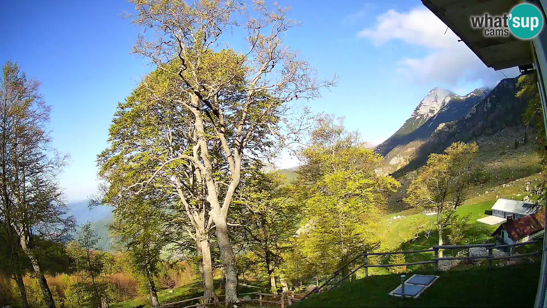 Baita di montagna Planina Razor webcam (1315) | vista su Tolminski Migovec