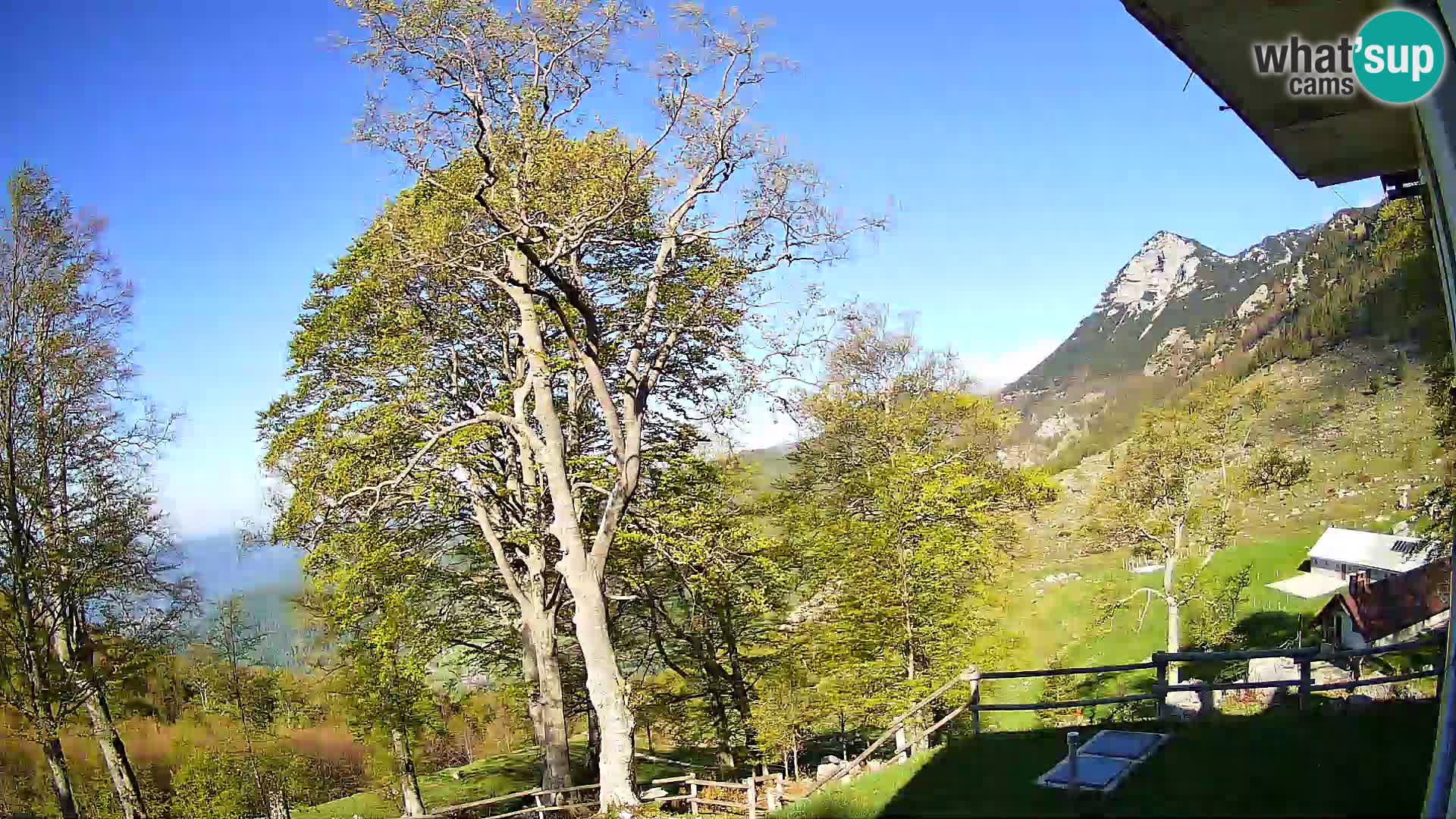 Cámara en vivo de la cabaña de montaña Planina Razor (1315) | vista hacia Tolminski Migovec