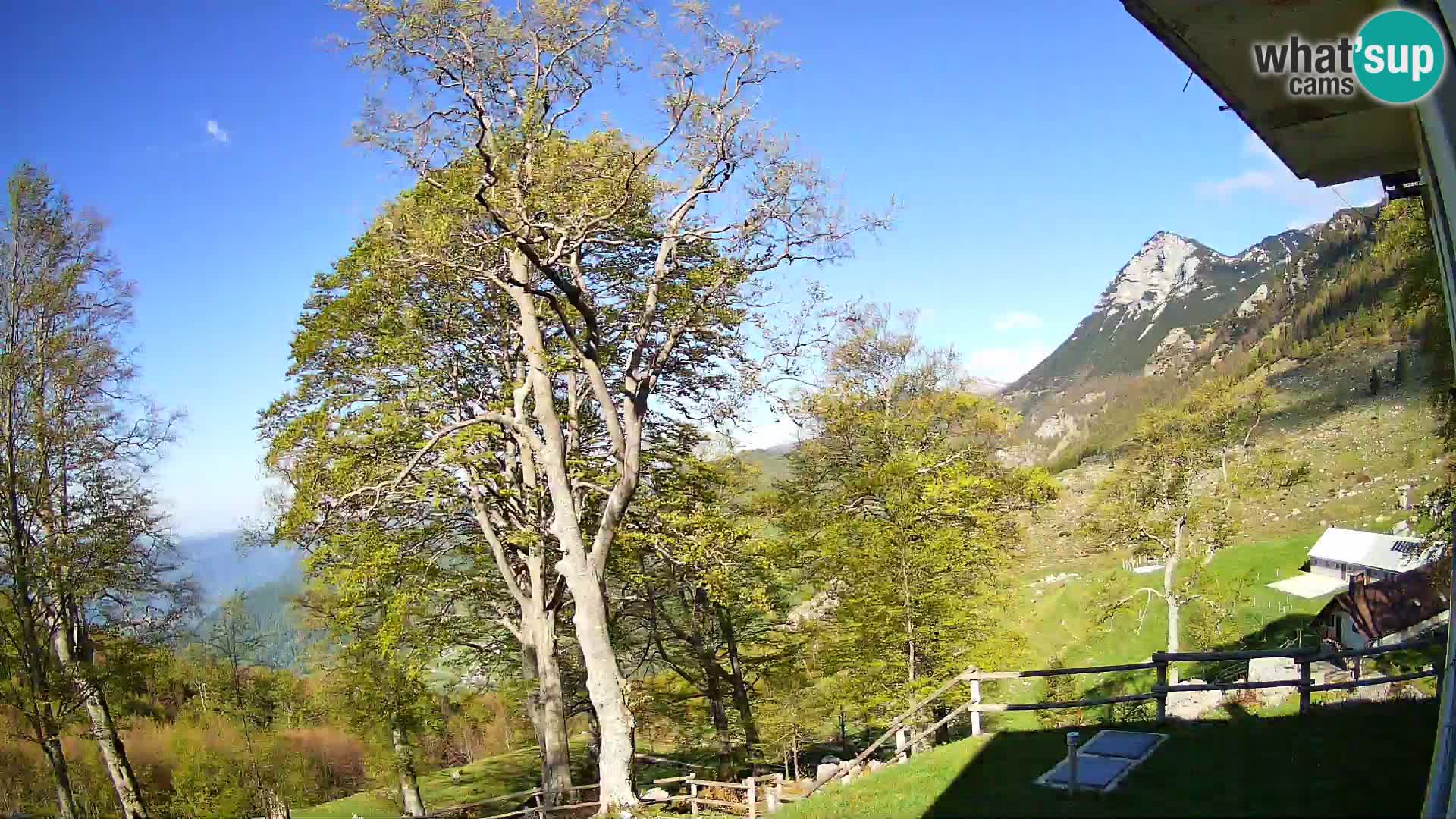 Planina Razor Mountain Hut live cam (1315) | view to Tolminski Migovec