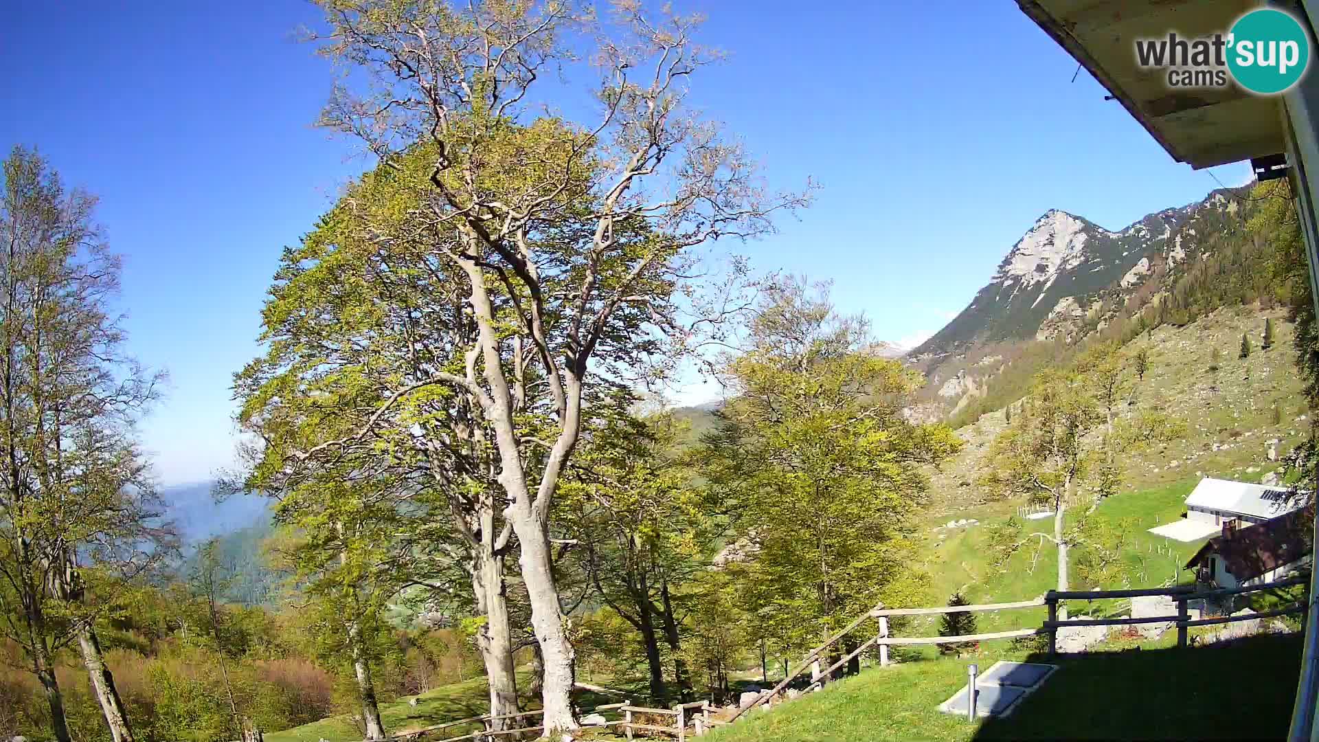 Planina Razor Bergütte Webcam (1315) | Blick auf Tolminski Migovec