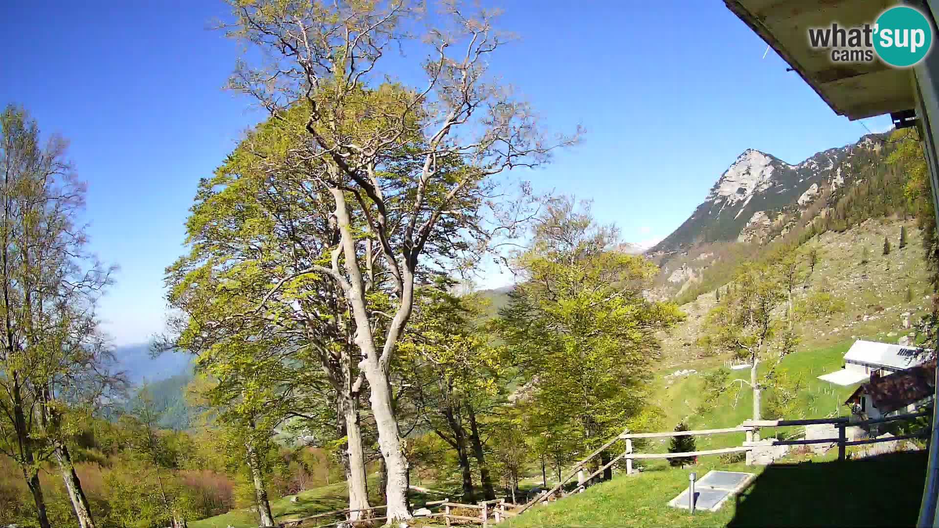 Planina Razor Bergütte Webcam (1315) | Blick auf Tolminski Migovec