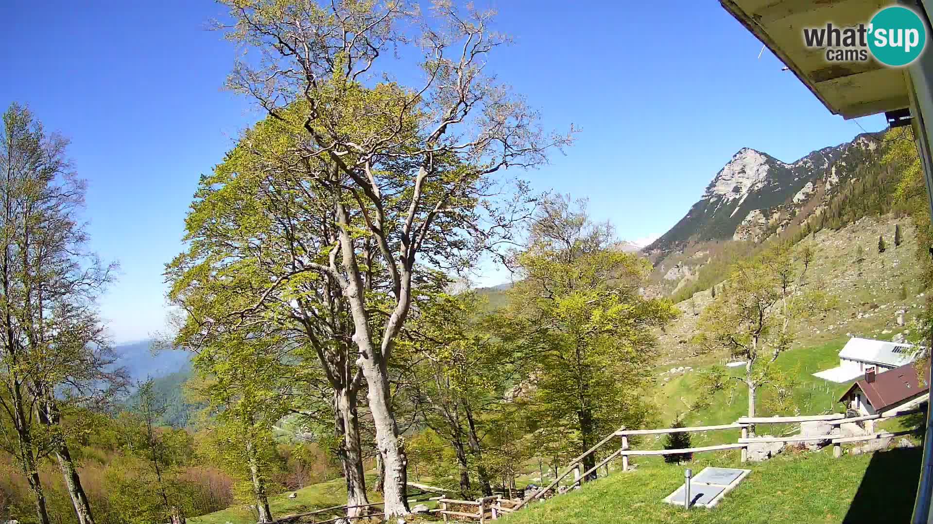 Planina Razor Mountain Hut live cam (1315) | view to Tolminski Migovec