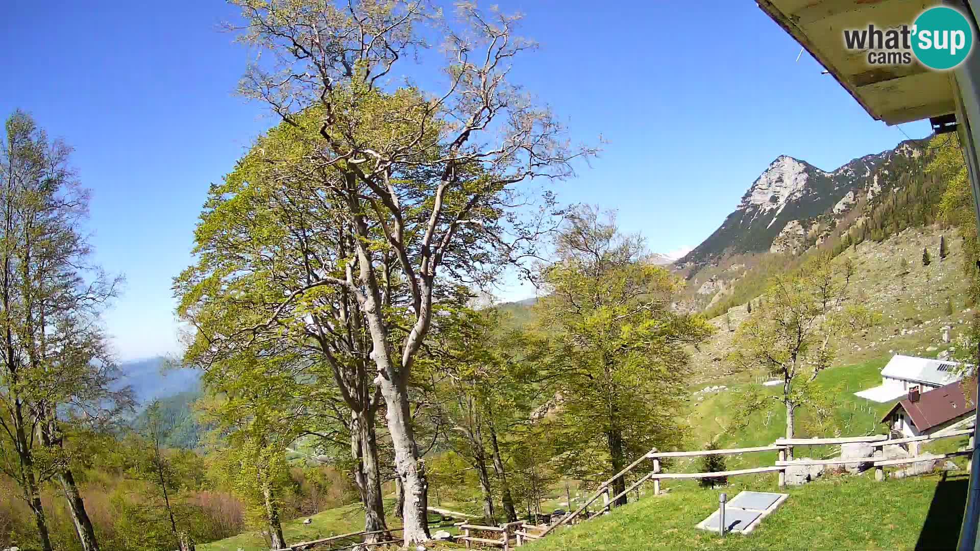 Baita di montagna Planina Razor webcam (1315) | vista su Tolminski Migovec