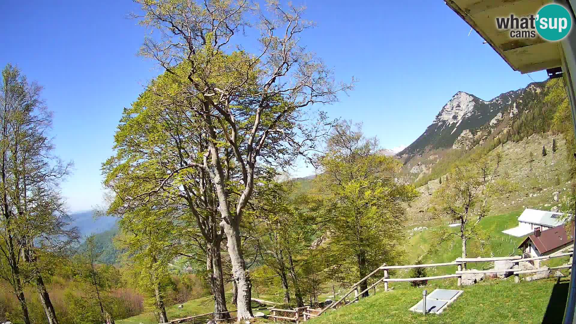 Koča na Planini Razor spletna kamera (1315) | Pogled na Tolminski Migovec