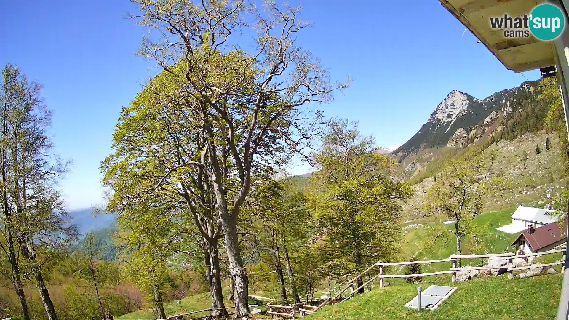 Planina Razor Mountain Hut live cam (1315) | view to Tolminski Migovec