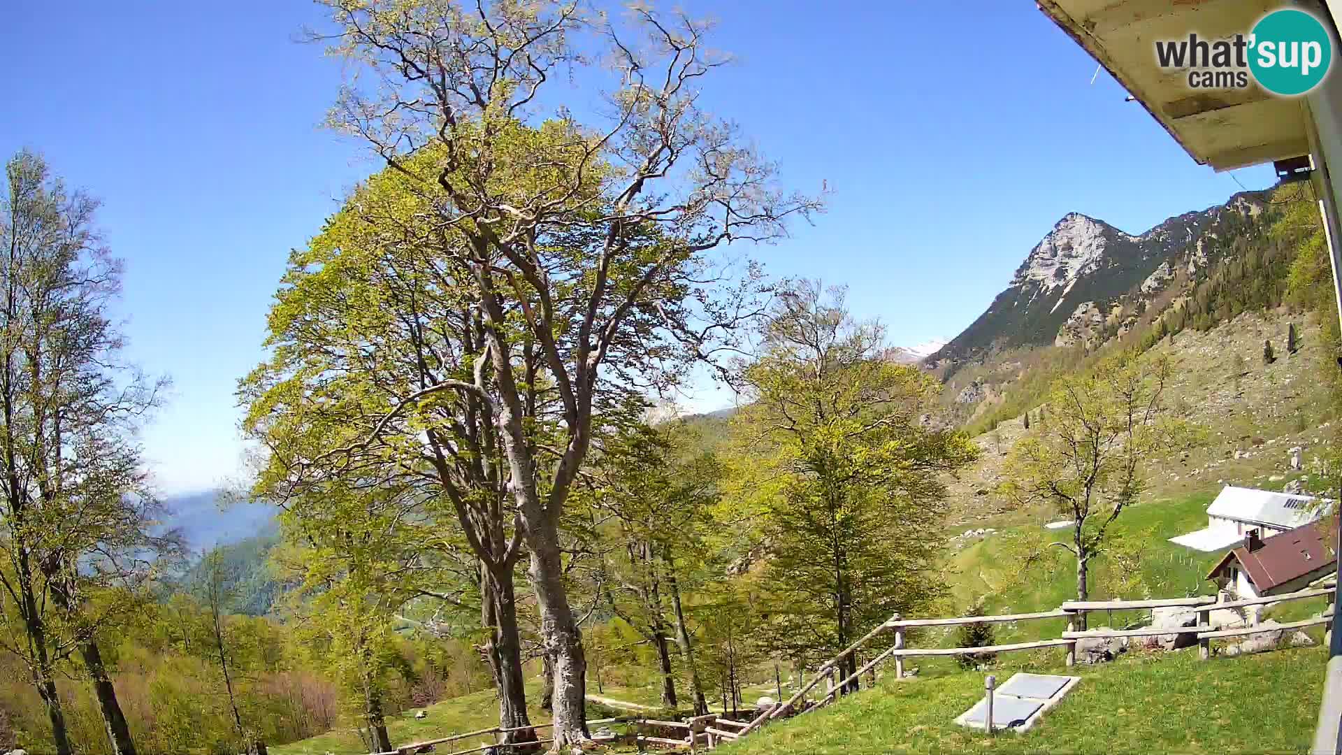 Planina Razor Mountain Hut live cam (1315) | view to Tolminski Migovec