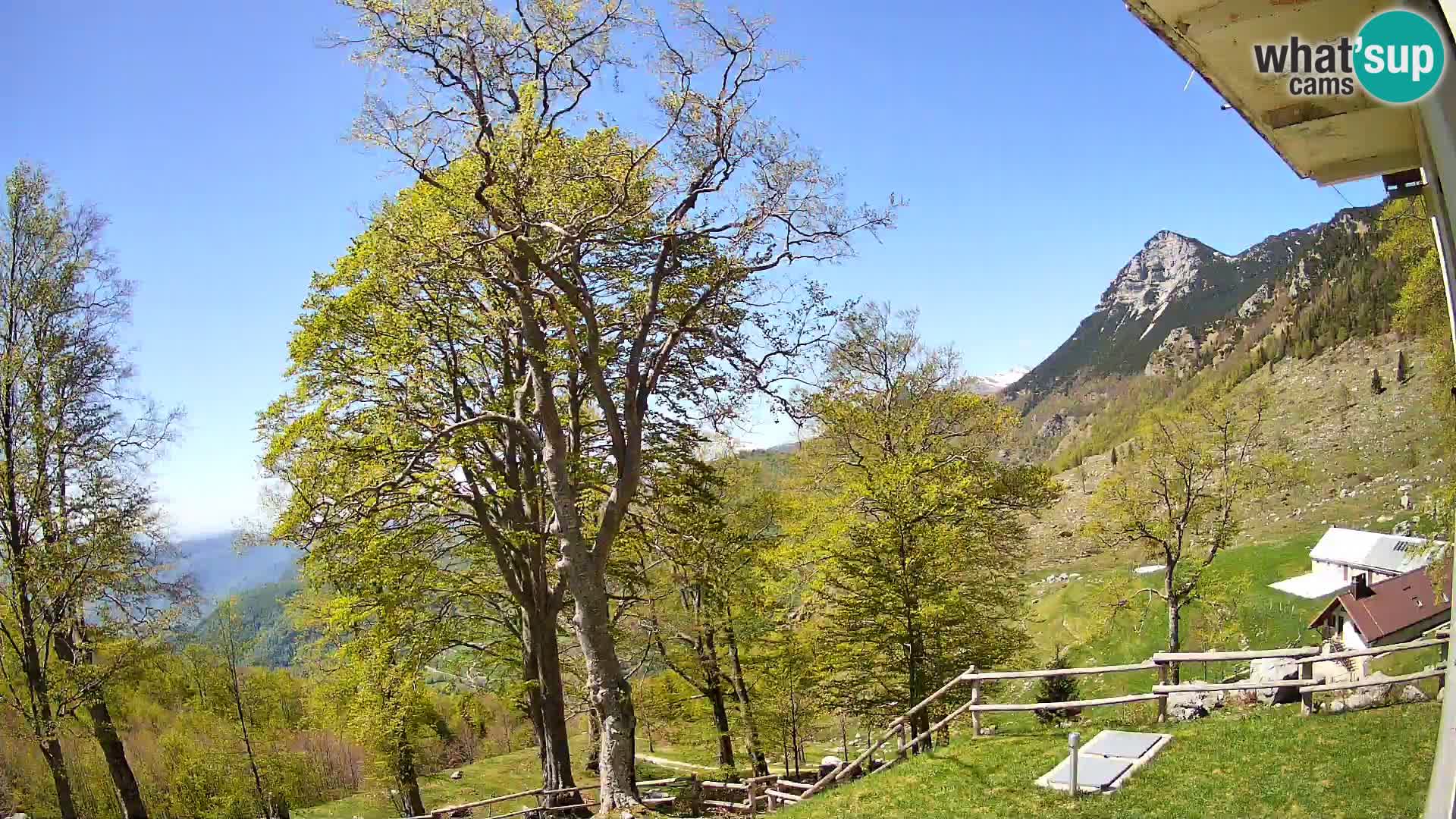 Koča na Planini Razor spletna kamera (1315) | Pogled na Tolminski Migovec