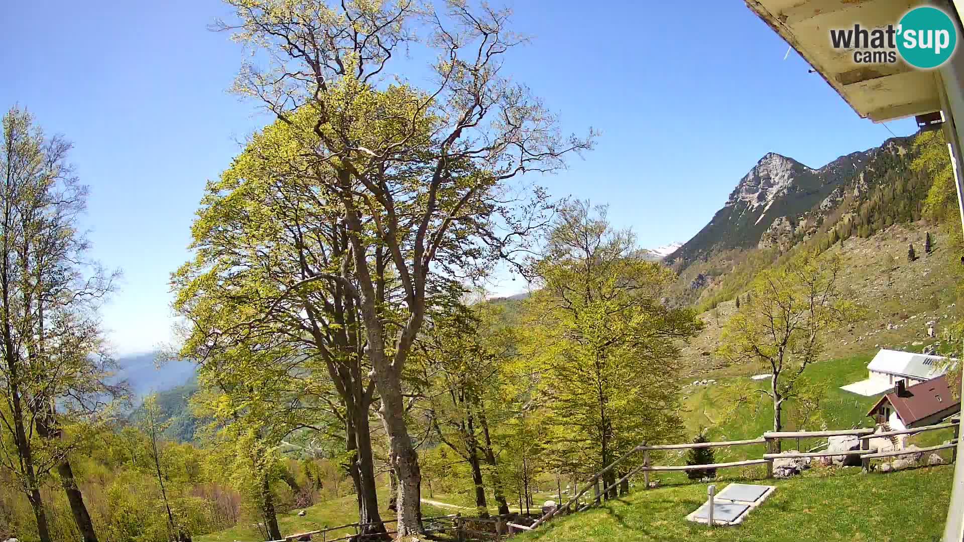 Planina Razor Mountain Hut live cam (1315) | view to Tolminski Migovec