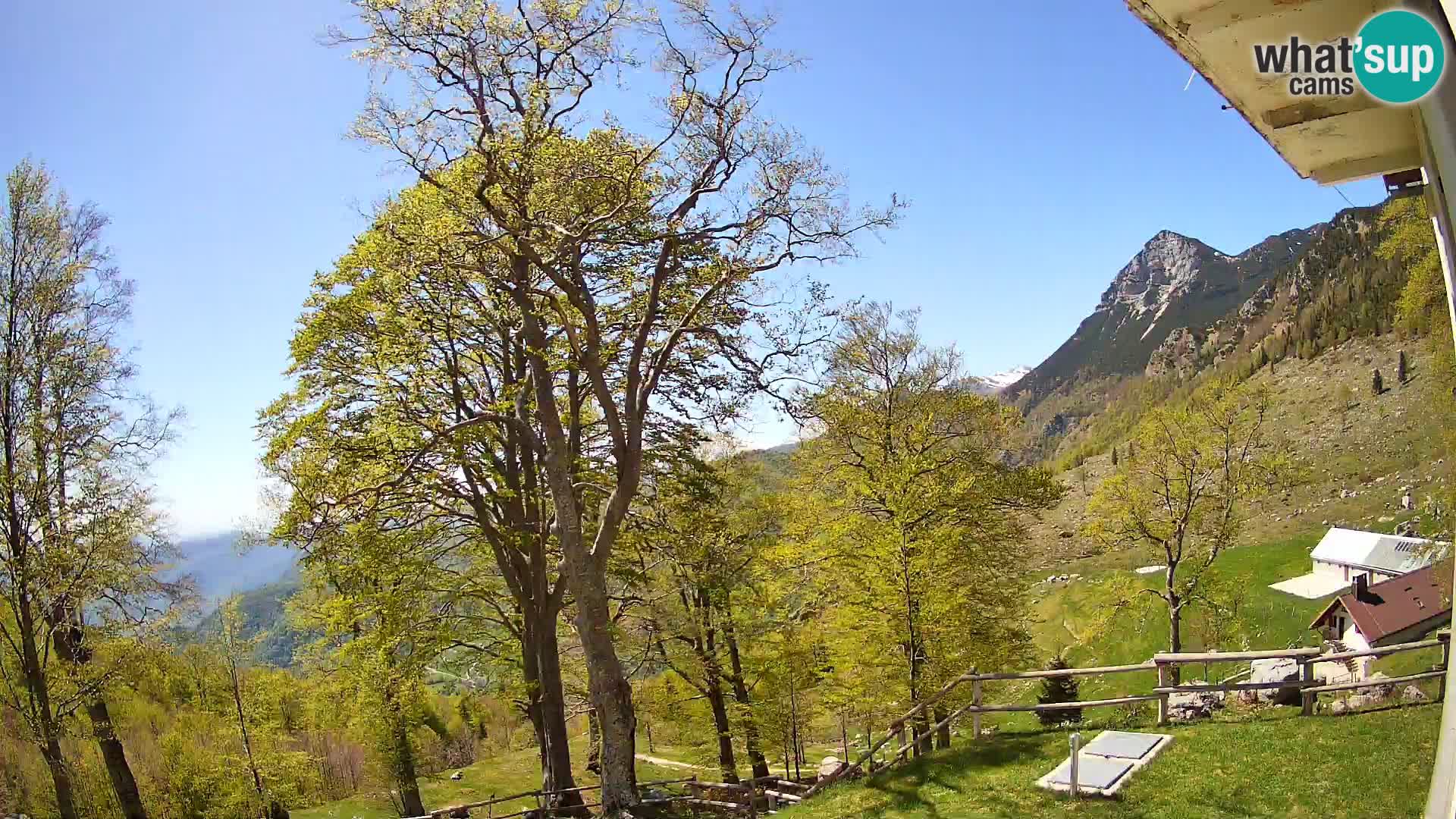 Cámara en vivo de la cabaña de montaña Planina Razor (1315) | vista hacia Tolminski Migovec