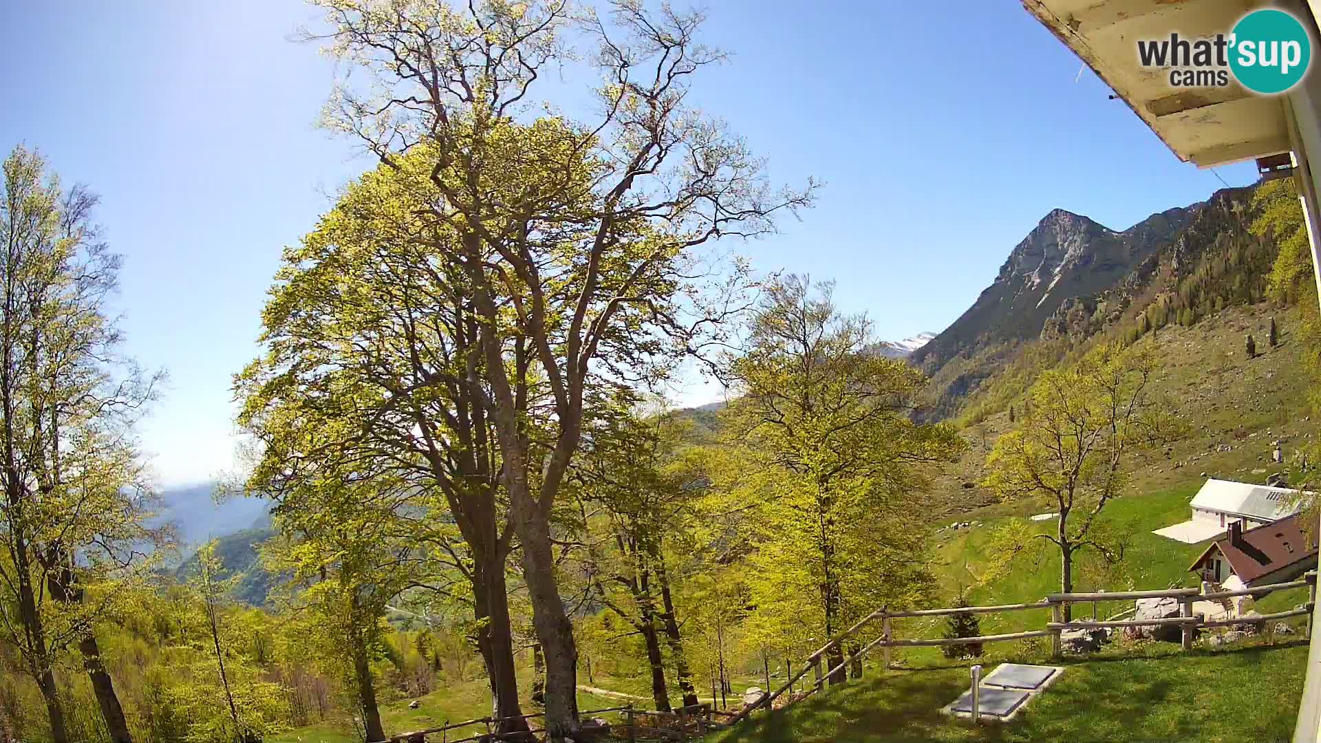 Koča na Planini Razor spletna kamera (1315) | Pogled na Tolminski Migovec