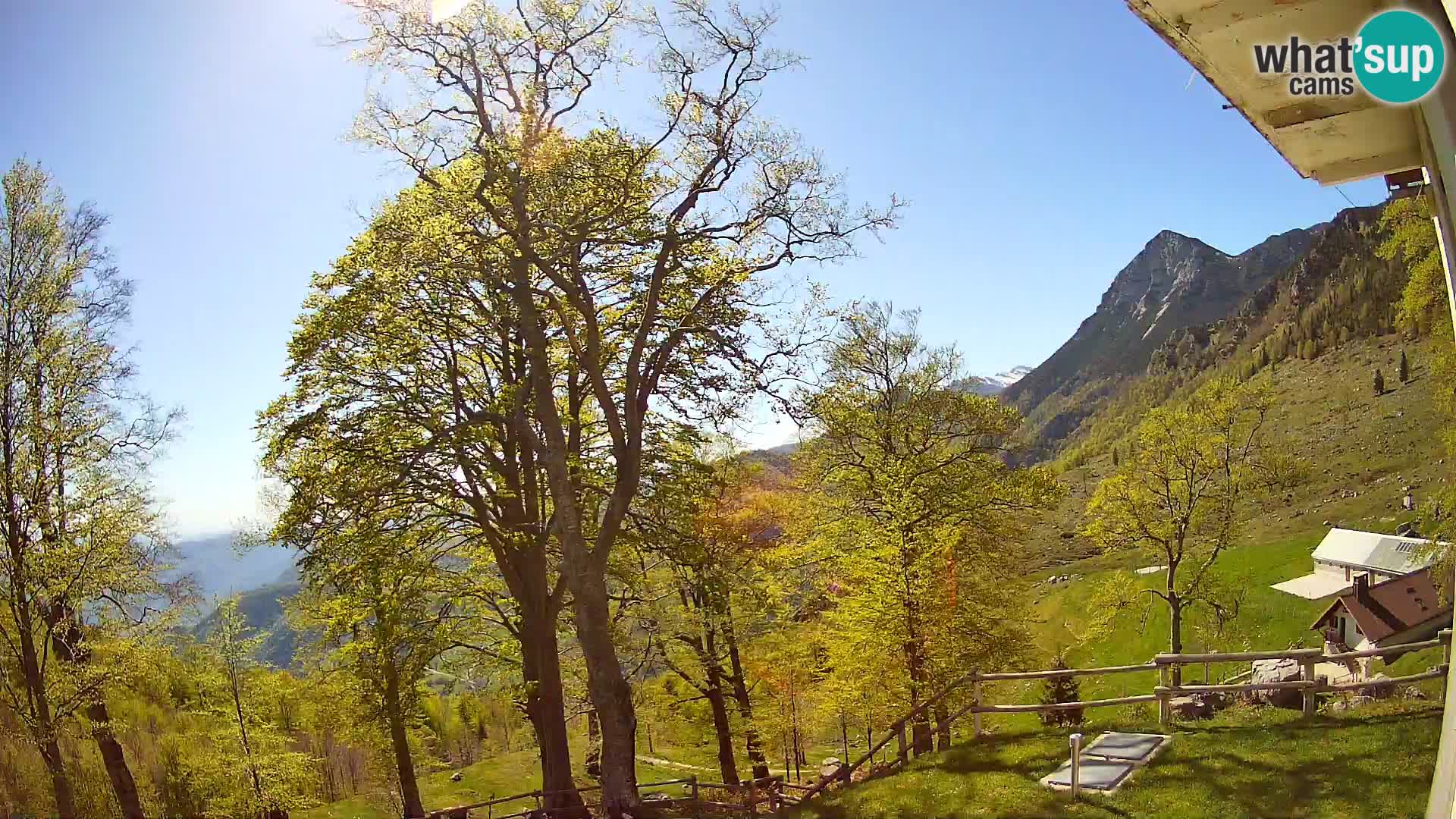Baita di montagna Planina Razor webcam (1315) | vista su Tolminski Migovec