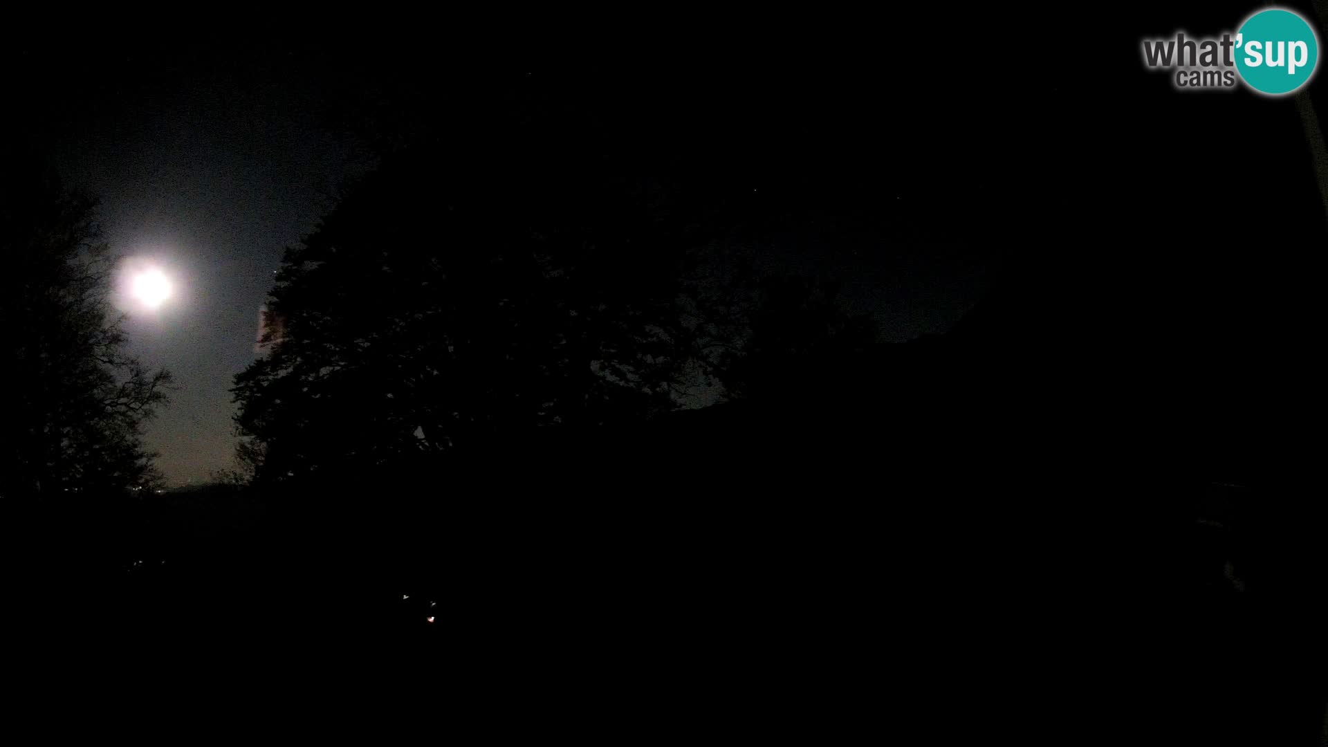 Planina Razor Bergütte Webcam (1315) | Blick auf Tolminski Migovec