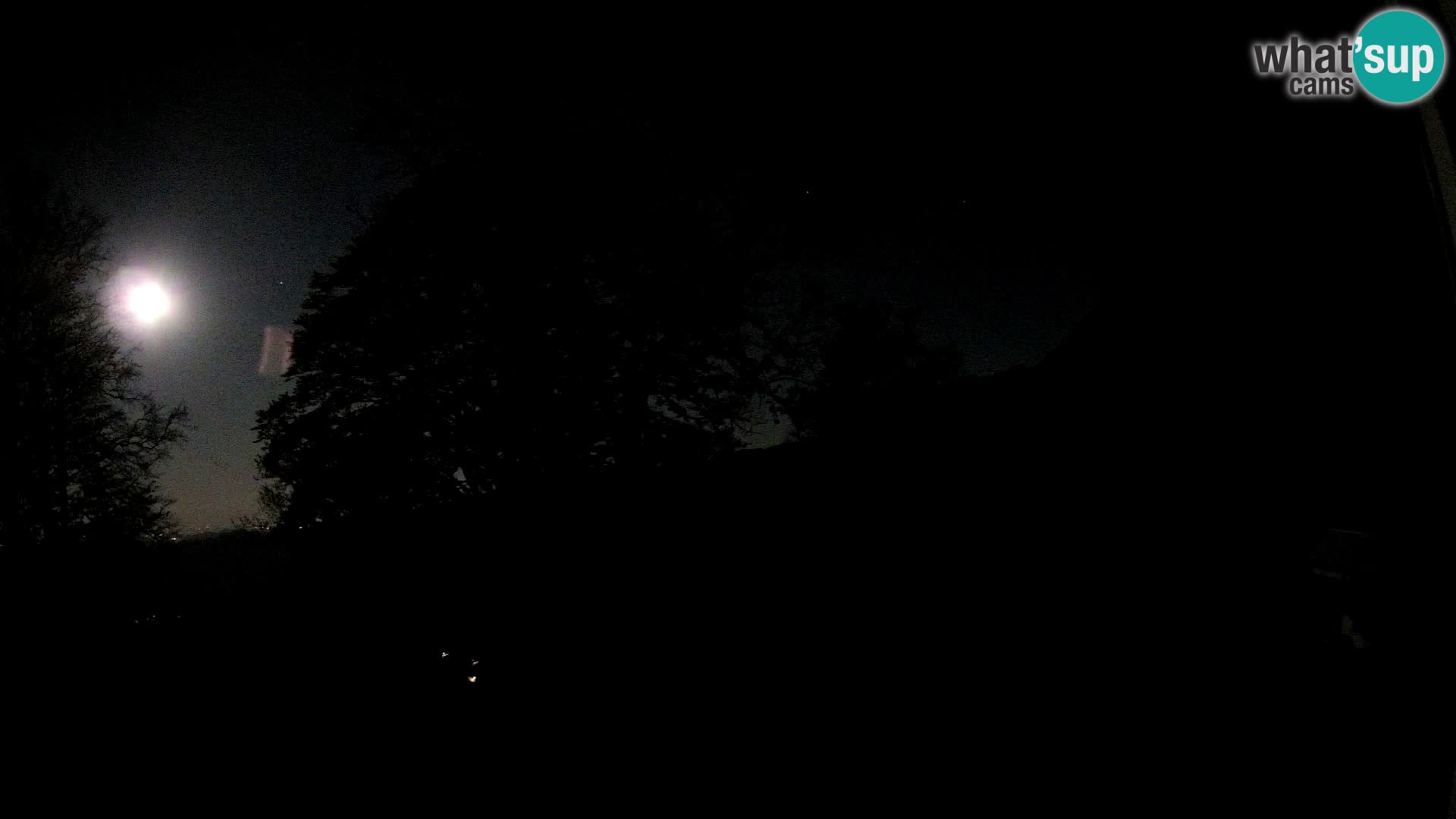 Baita di montagna Planina Razor webcam (1315) | vista su Tolminski Migovec