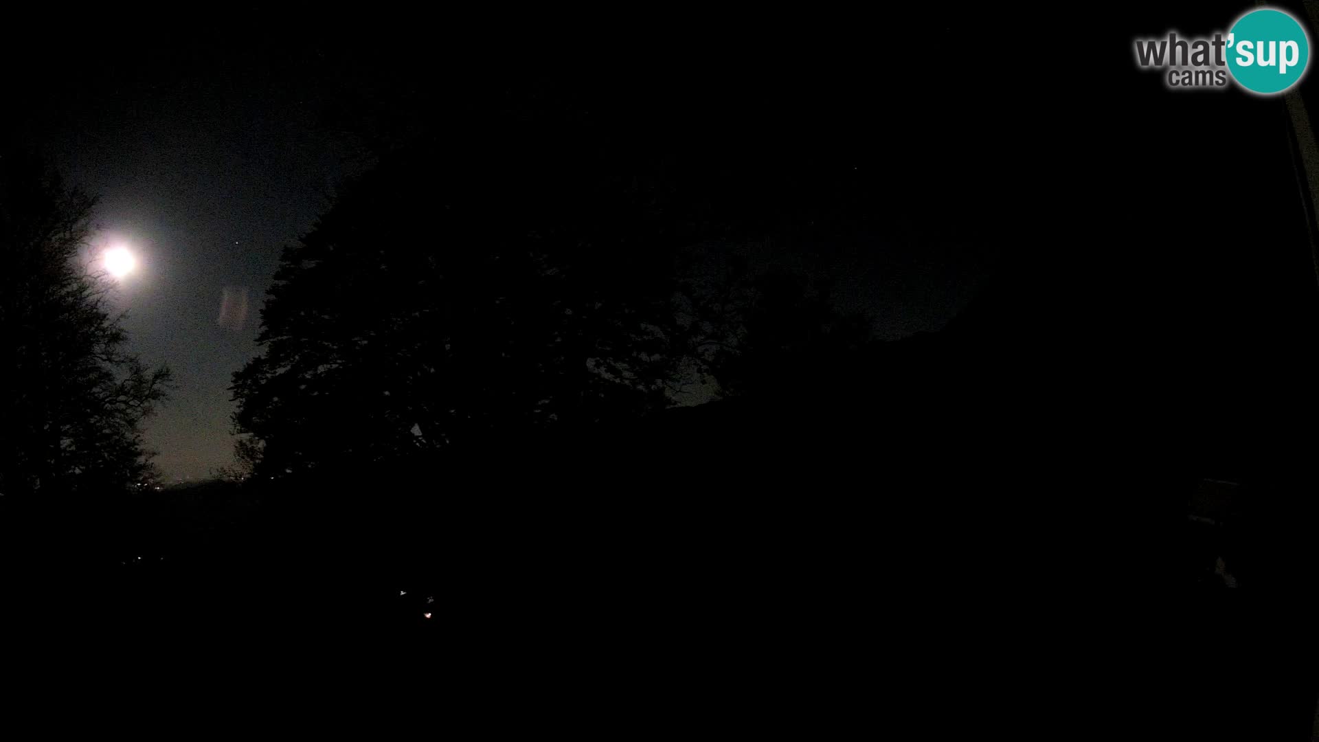 Baita di montagna Planina Razor webcam (1315) | vista su Tolminski Migovec