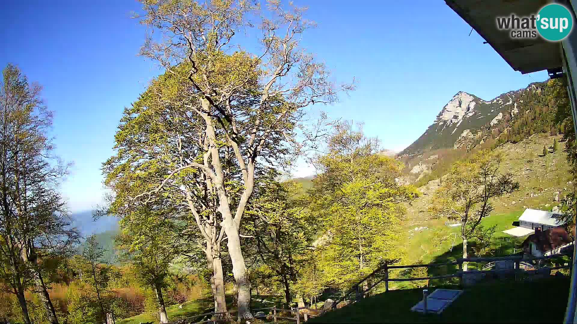 Planina Razor Bergütte Webcam (1315) | Blick auf Tolminski Migovec