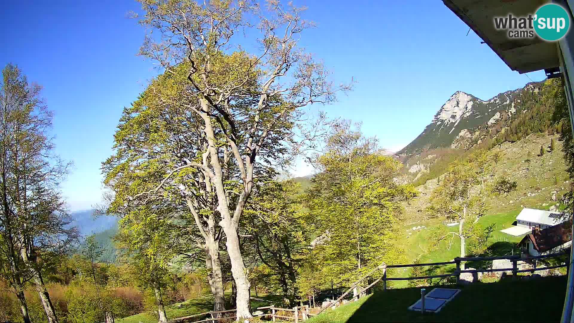 Planina Razor Mountain Hut live cam (1315) | view to Tolminski Migovec