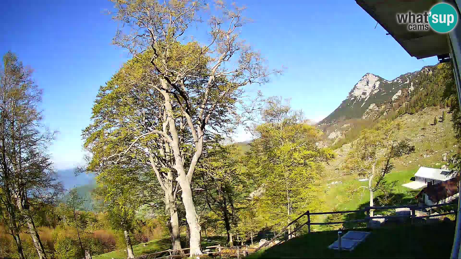 Baita di montagna Planina Razor webcam (1315) | vista su Tolminski Migovec