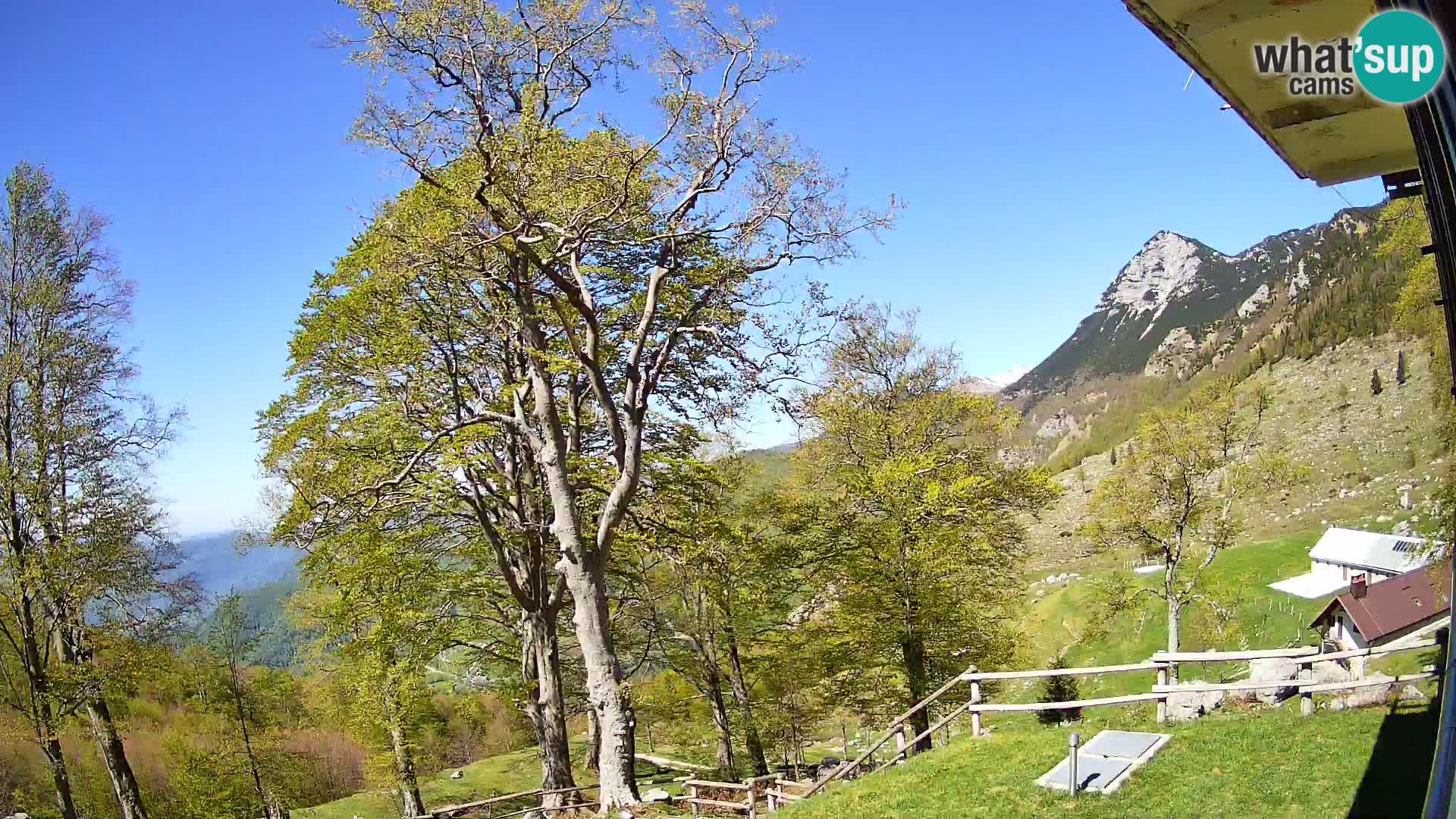 Planina Razor Mountain Hut live cam (1315) | view to Tolminski Migovec