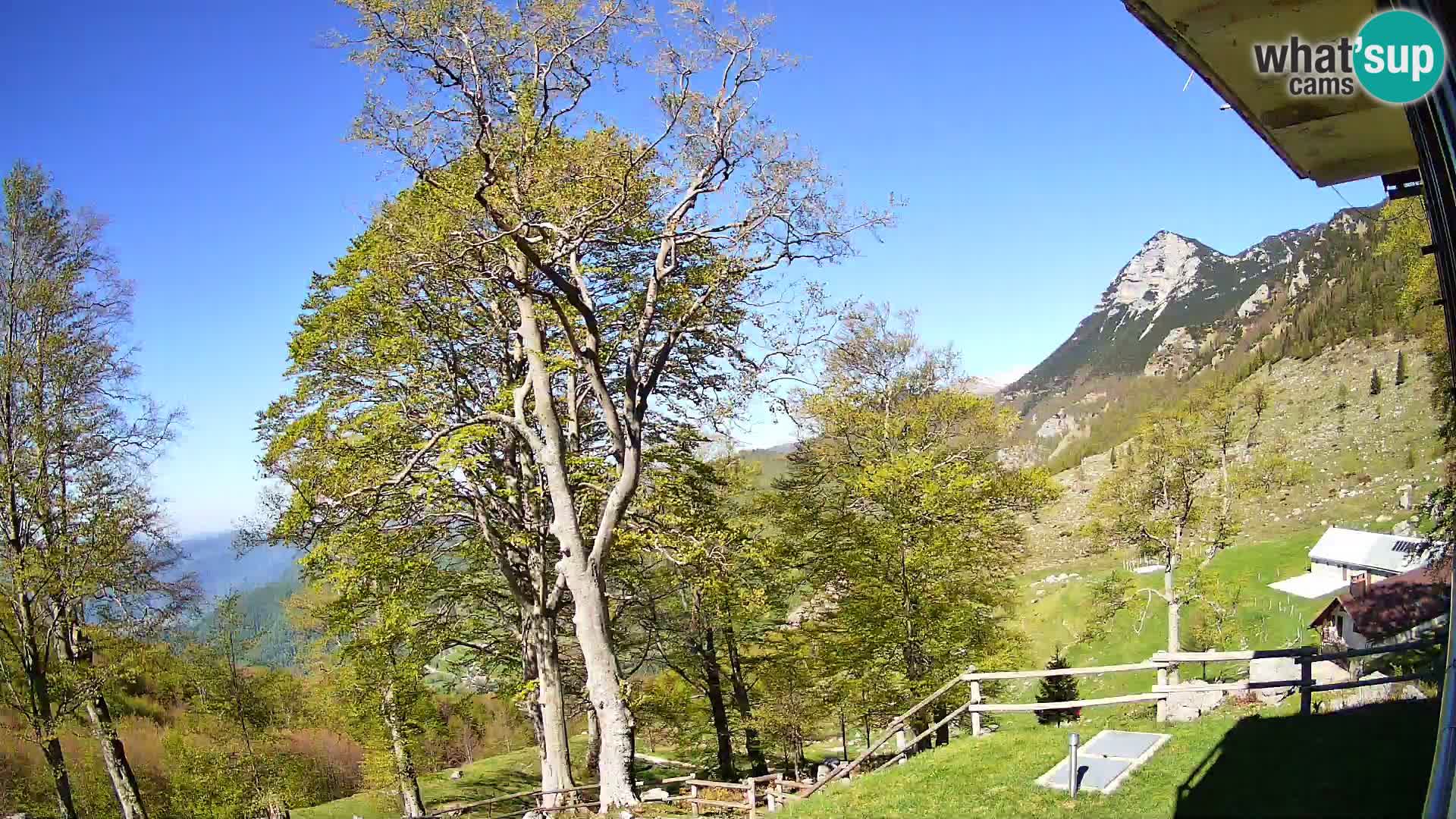 Cámara en vivo de la cabaña de montaña Planina Razor (1315) | vista hacia Tolminski Migovec