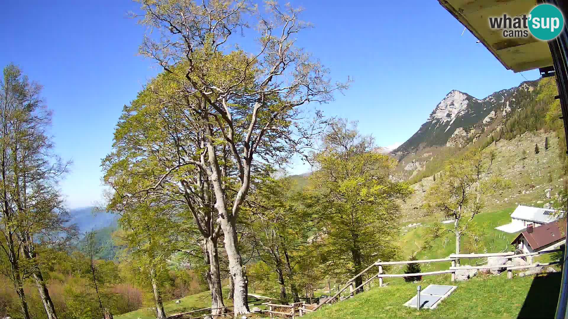 Planina Razor Mountain Hut live cam (1315) | view to Tolminski Migovec