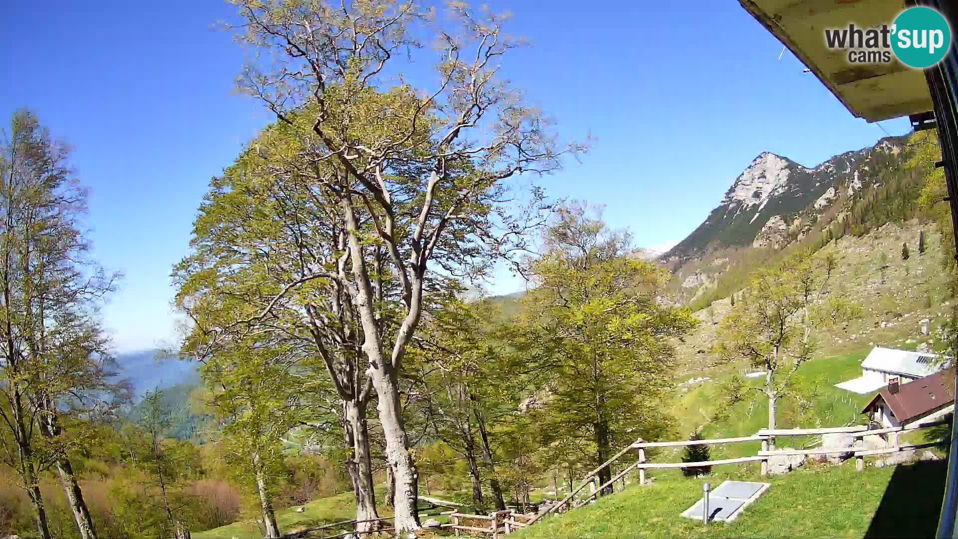 Cámara en vivo de la cabaña de montaña Planina Razor (1315) | vista hacia Tolminski Migovec