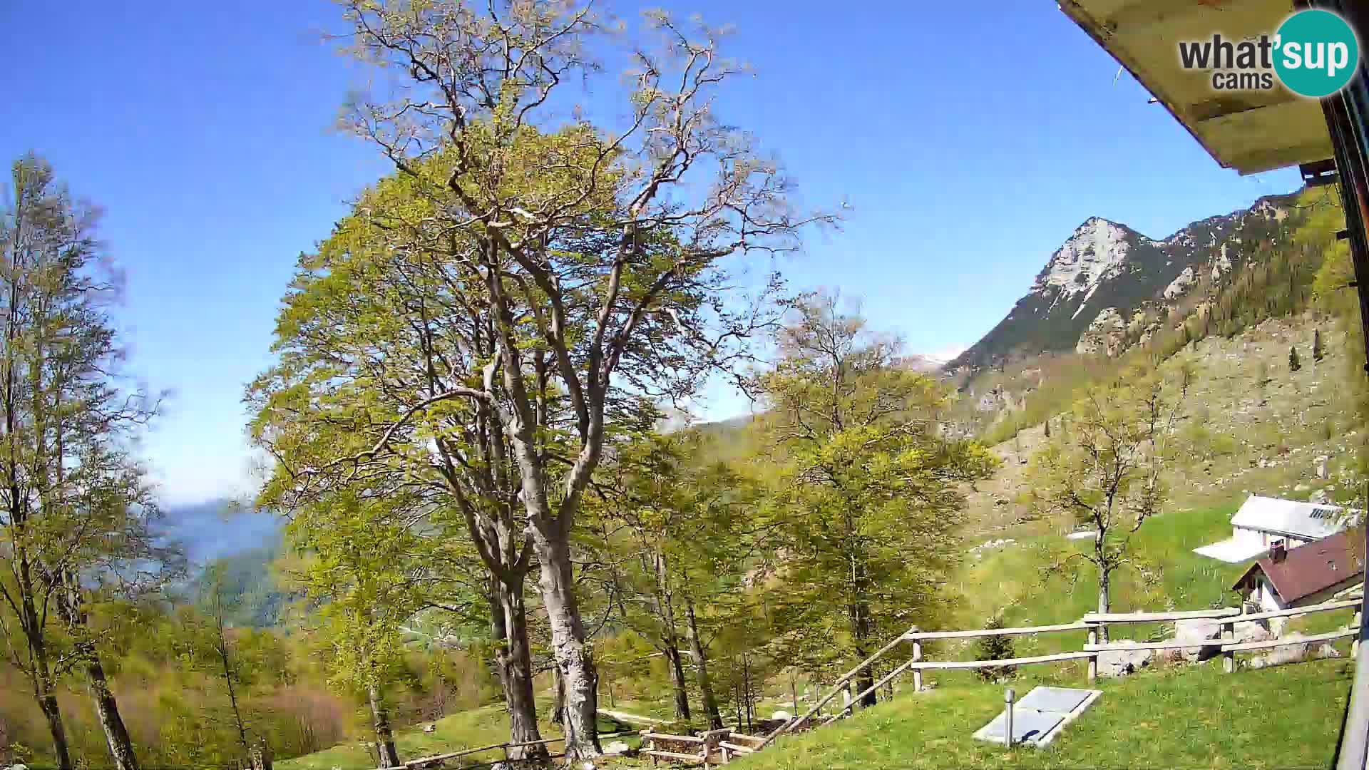 Refuge de la montagne Planina Razor caméra en direct (1315) | vue sur Tolminski Migovec