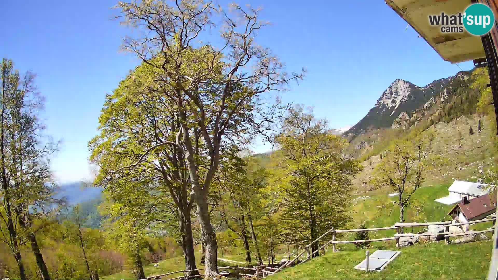 Planina Razor Mountain Hut live cam (1315) | view to Tolminski Migovec