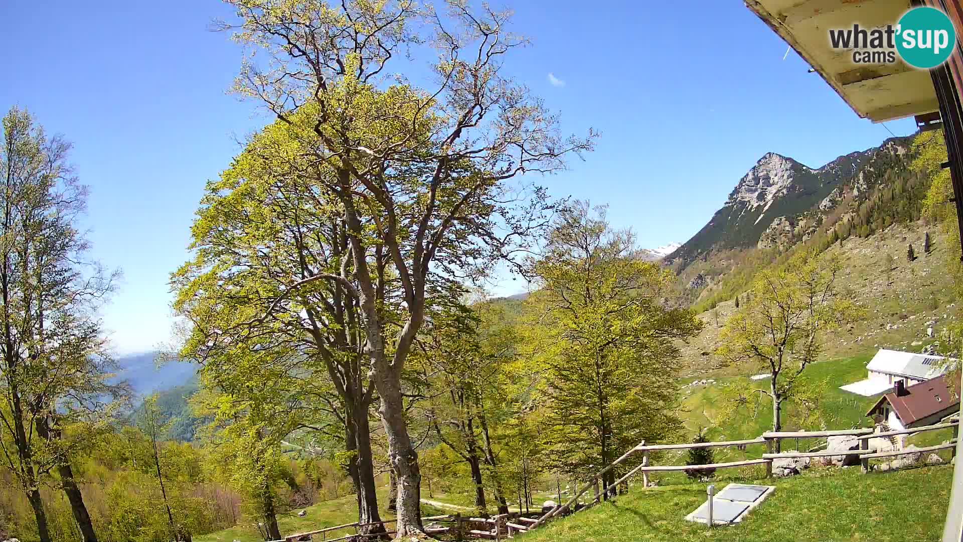 Cámara en vivo de la cabaña de montaña Planina Razor (1315) | vista hacia Tolminski Migovec