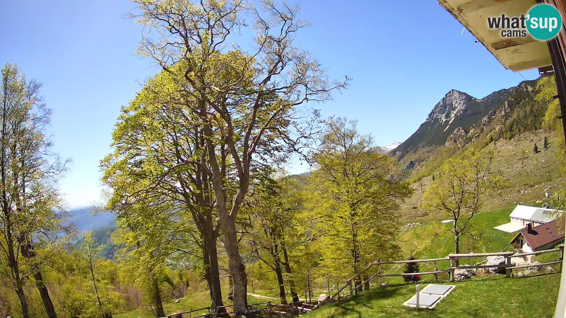Cámara en vivo de la cabaña de montaña Planina Razor (1315) | vista hacia Tolminski Migovec