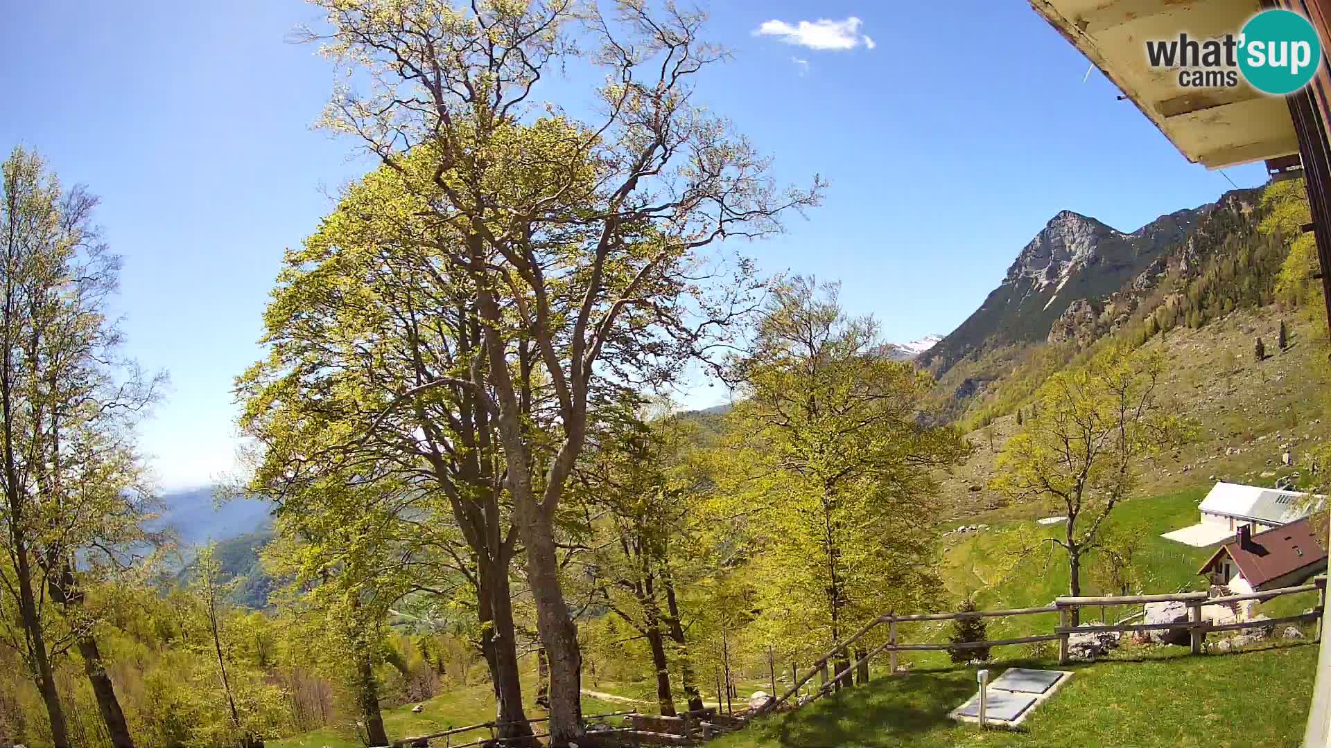 Cámara en vivo de la cabaña de montaña Planina Razor (1315) | vista hacia Tolminski Migovec