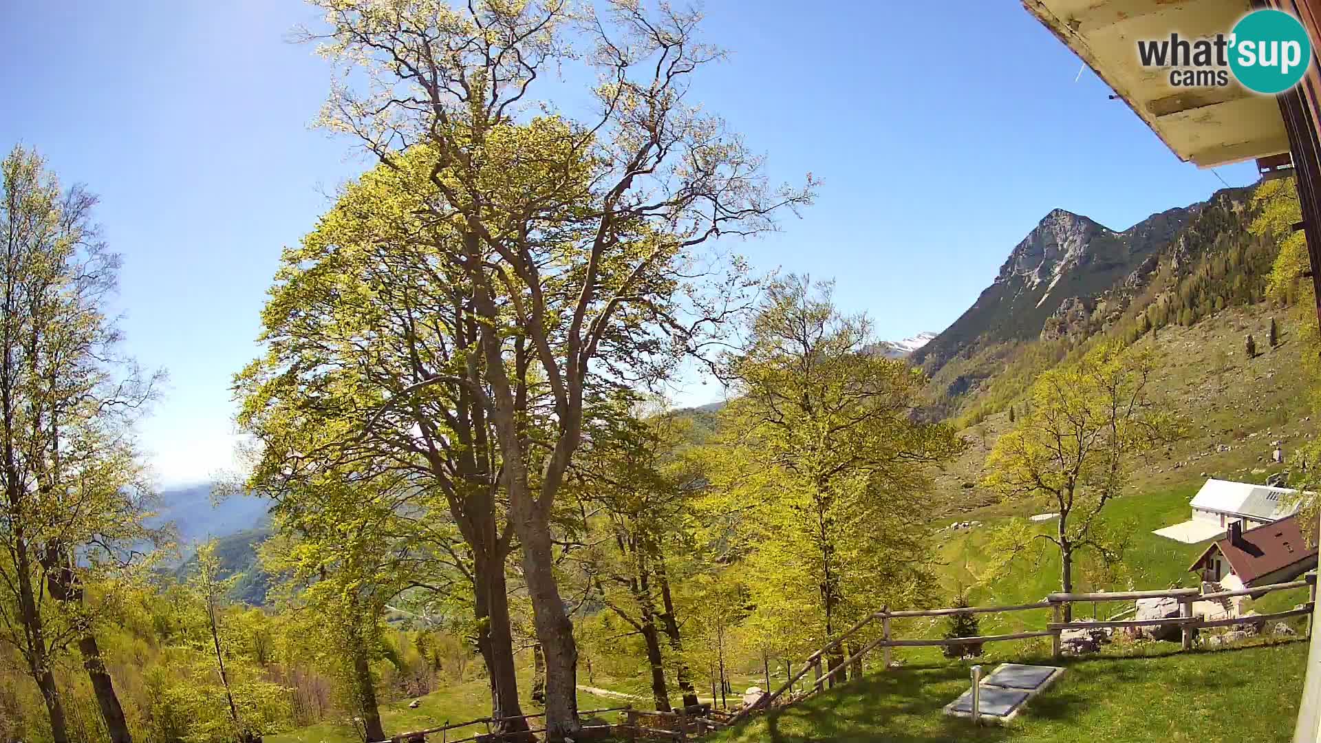 Cámara en vivo de la cabaña de montaña Planina Razor (1315) | vista hacia Tolminski Migovec
