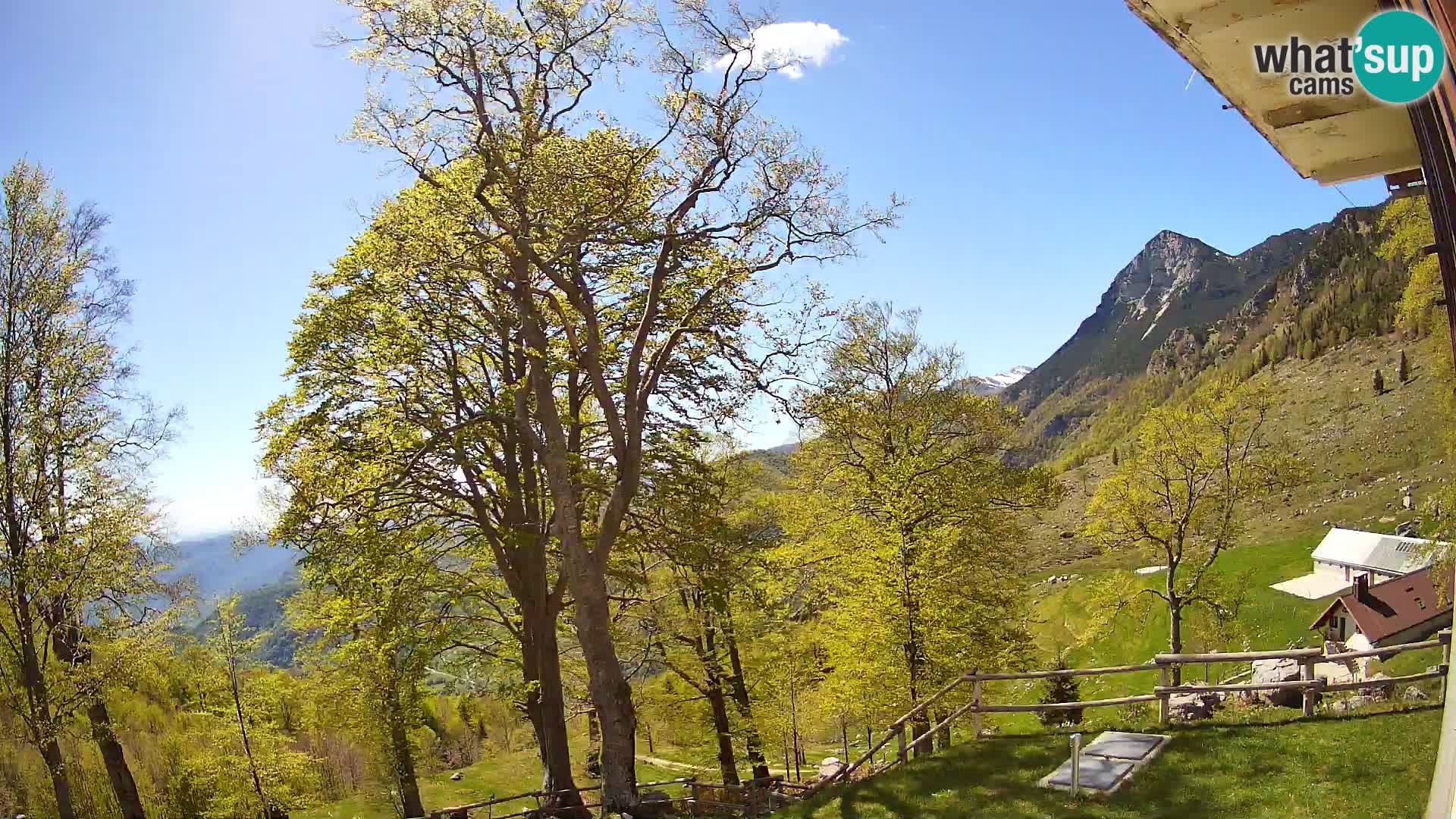 Refuge de la montagne Planina Razor caméra en direct (1315) | vue sur Tolminski Migovec