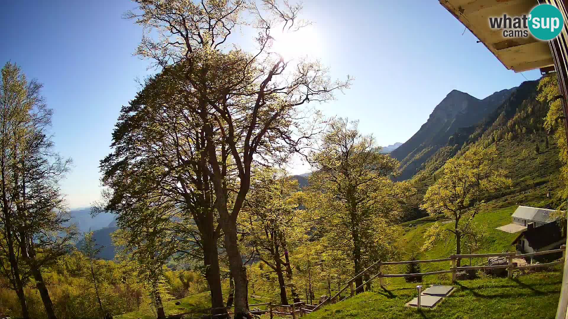 Cámara en vivo de la cabaña de montaña Planina Razor (1315) | vista hacia Tolminski Migovec